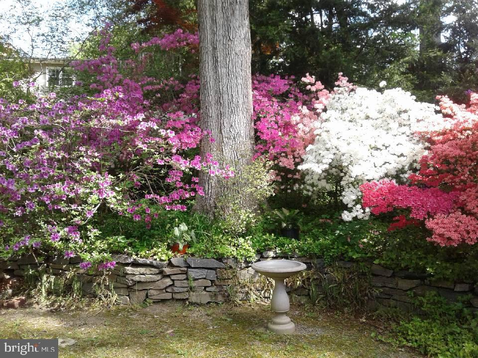 HILLANDALE - Residential