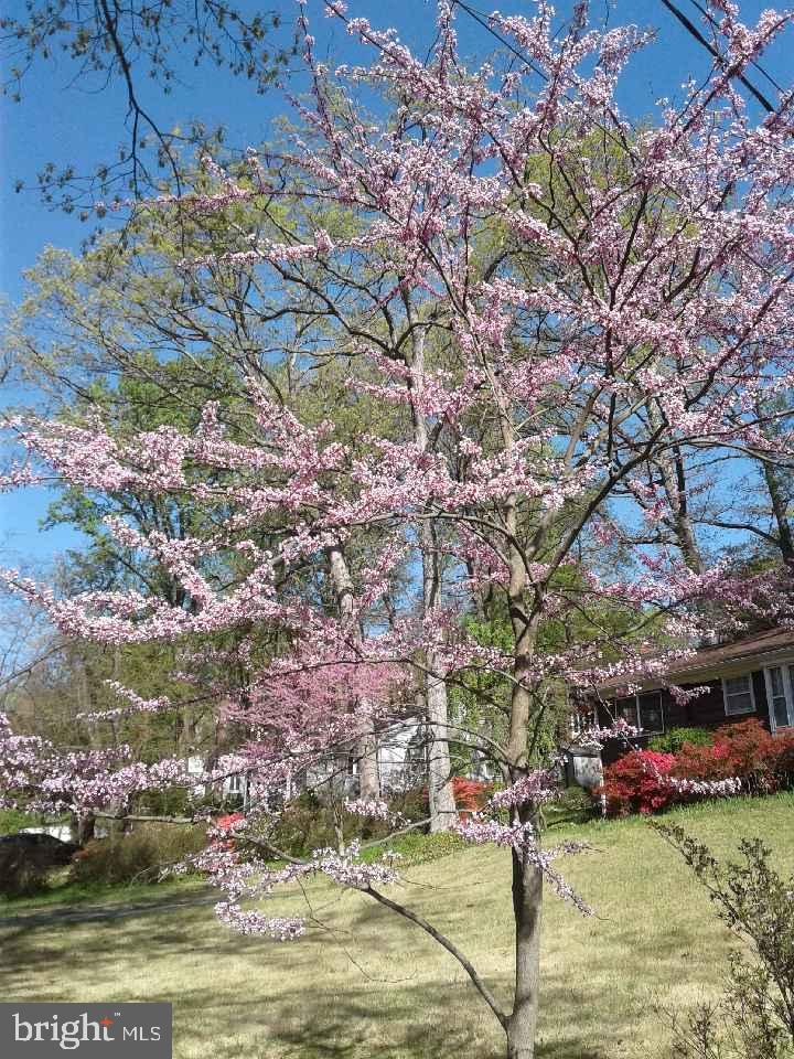 HILLANDALE - Residential