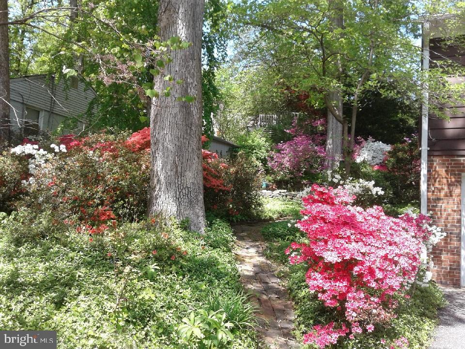 HILLANDALE - Residential