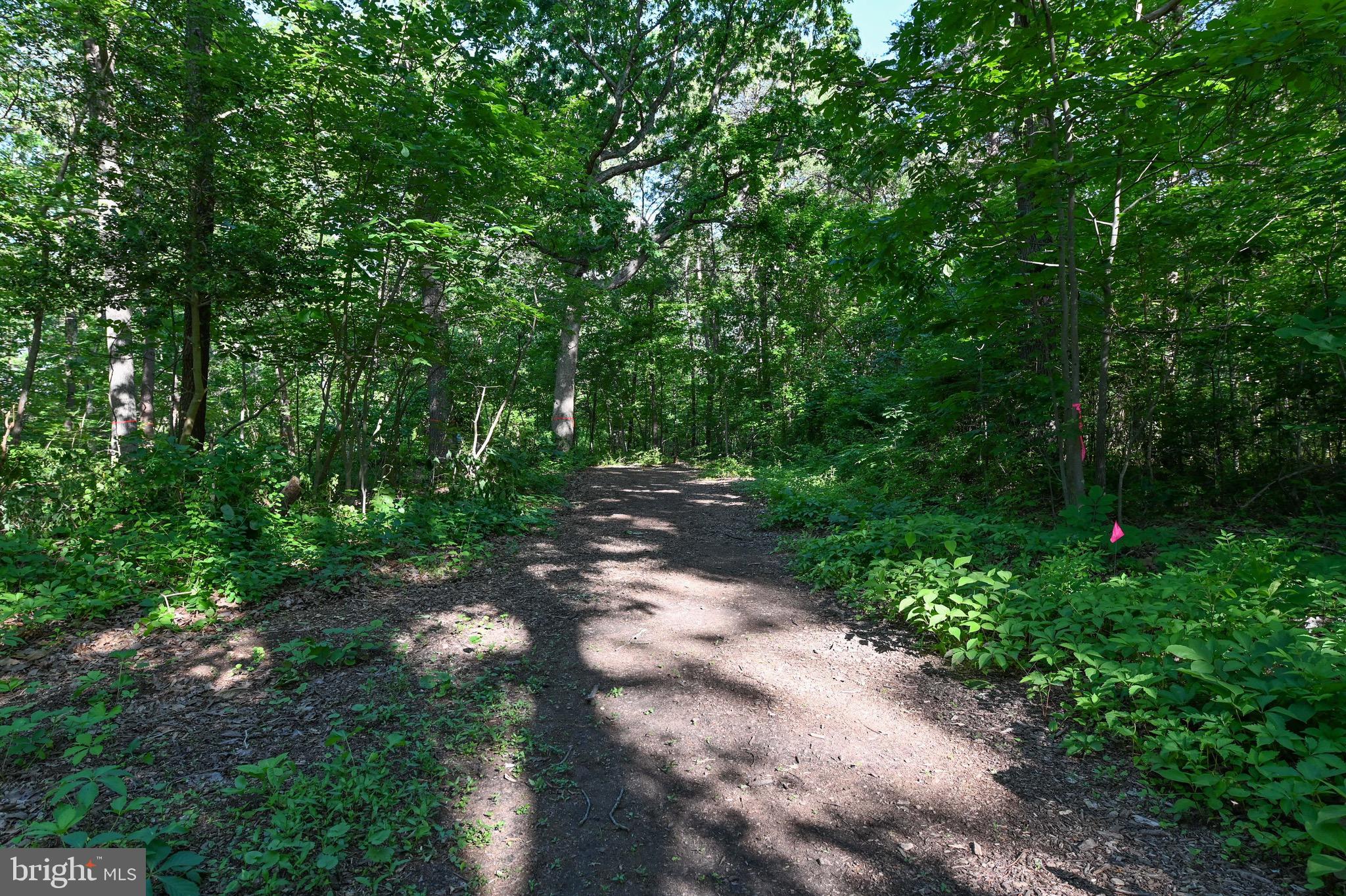 BEACHWOOD FOREST - Residential