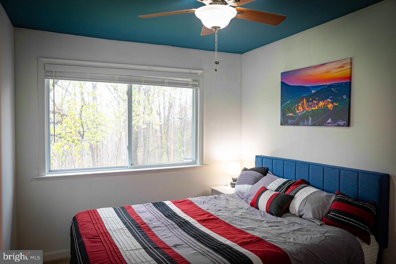 SHANNONDALE - Residential