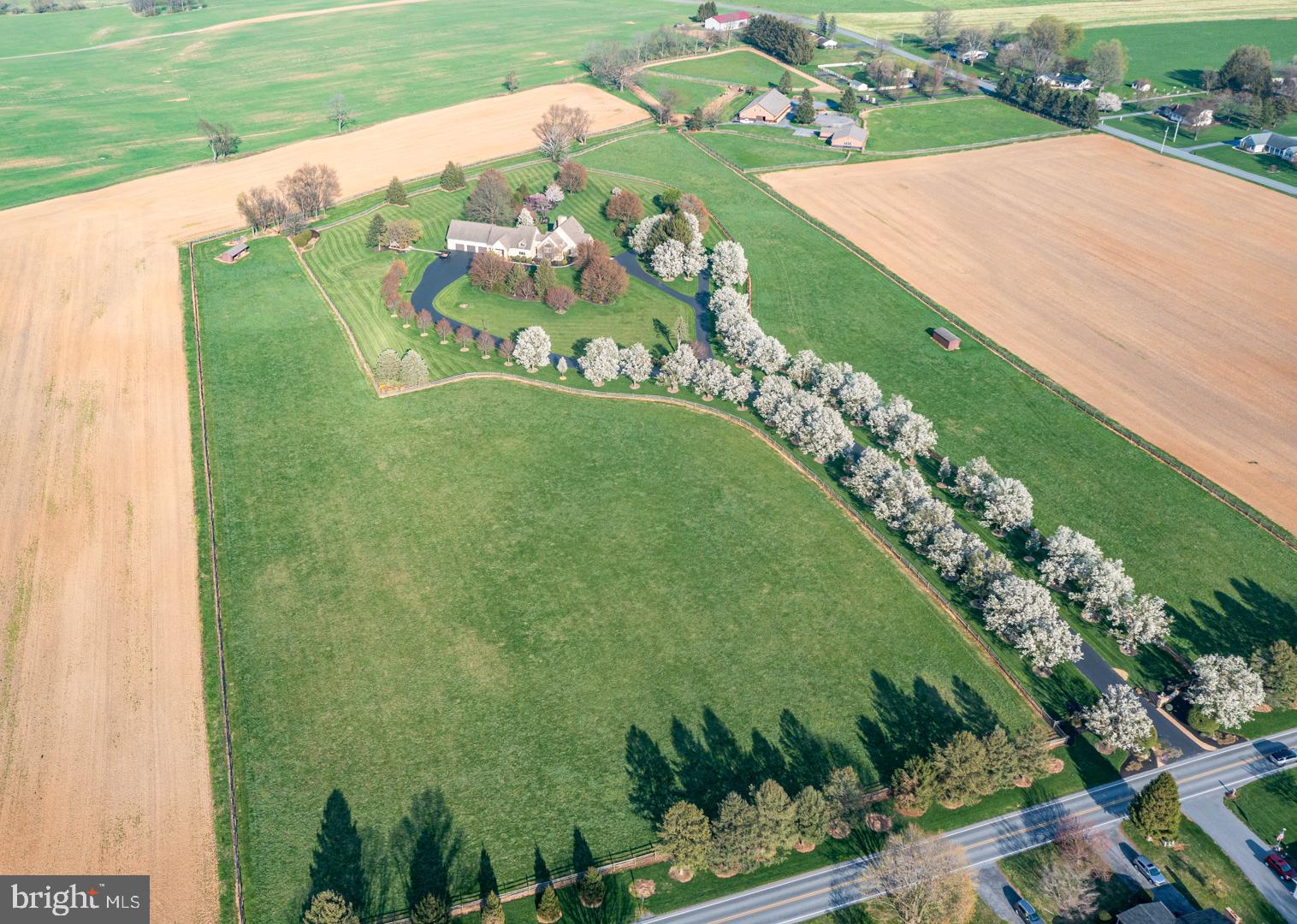 NONE AVAILABLE - Farm