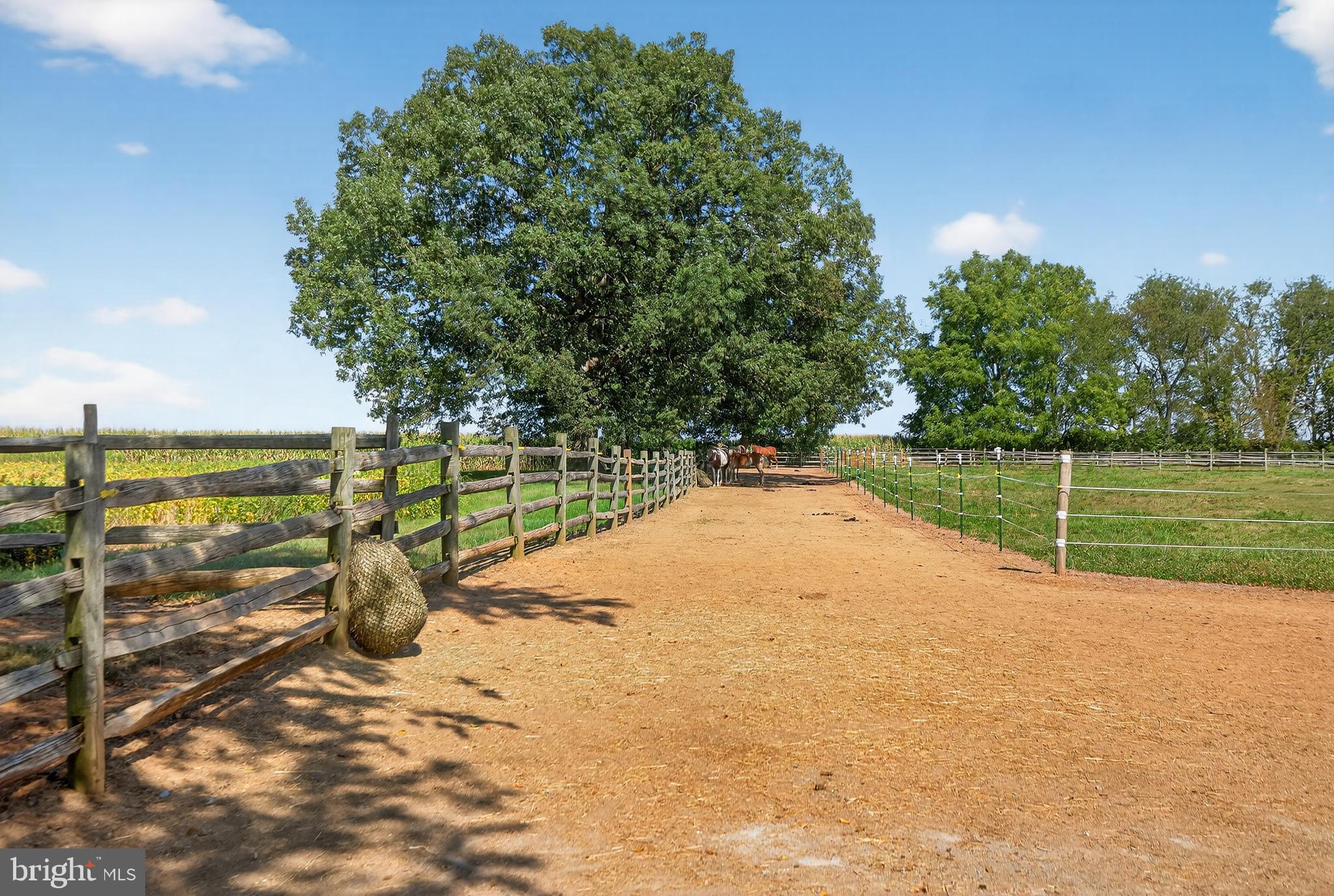 NONE AVAILABLE - Farm