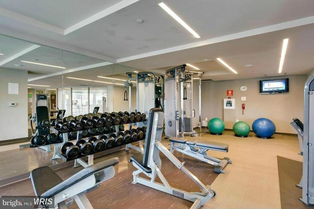 THE JAMIESON - Residential Lease