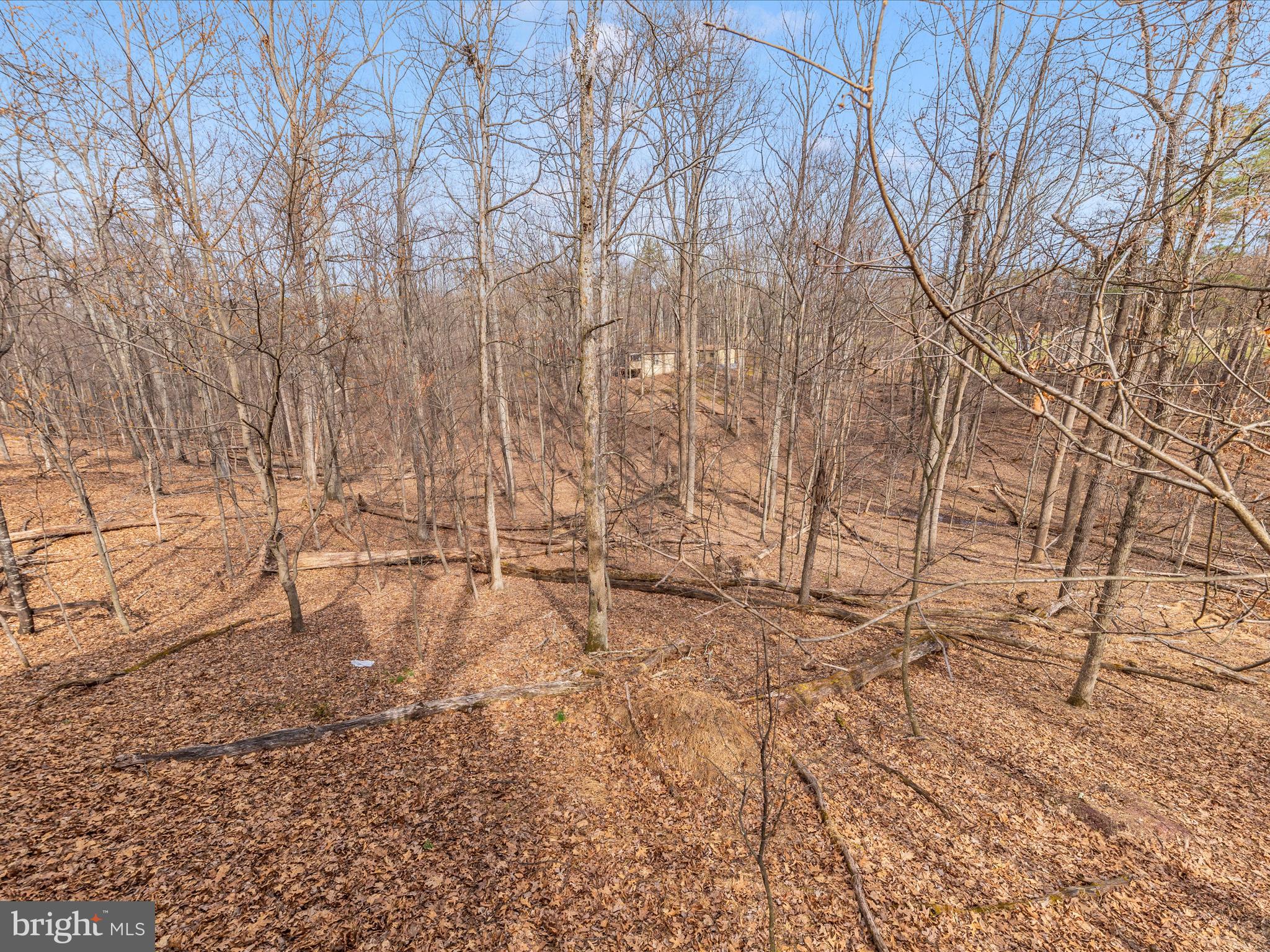 THE WOODS RESORT - Residential