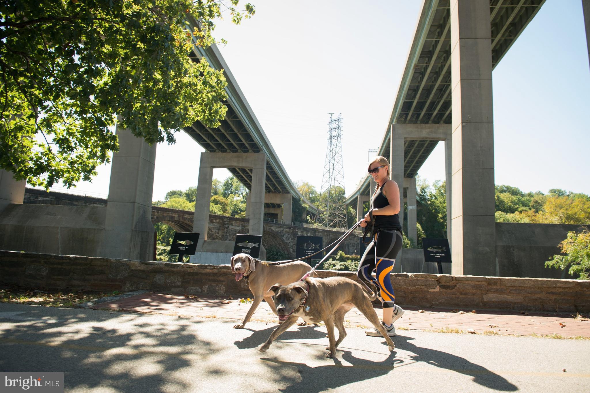 EAST FALLS - Residential