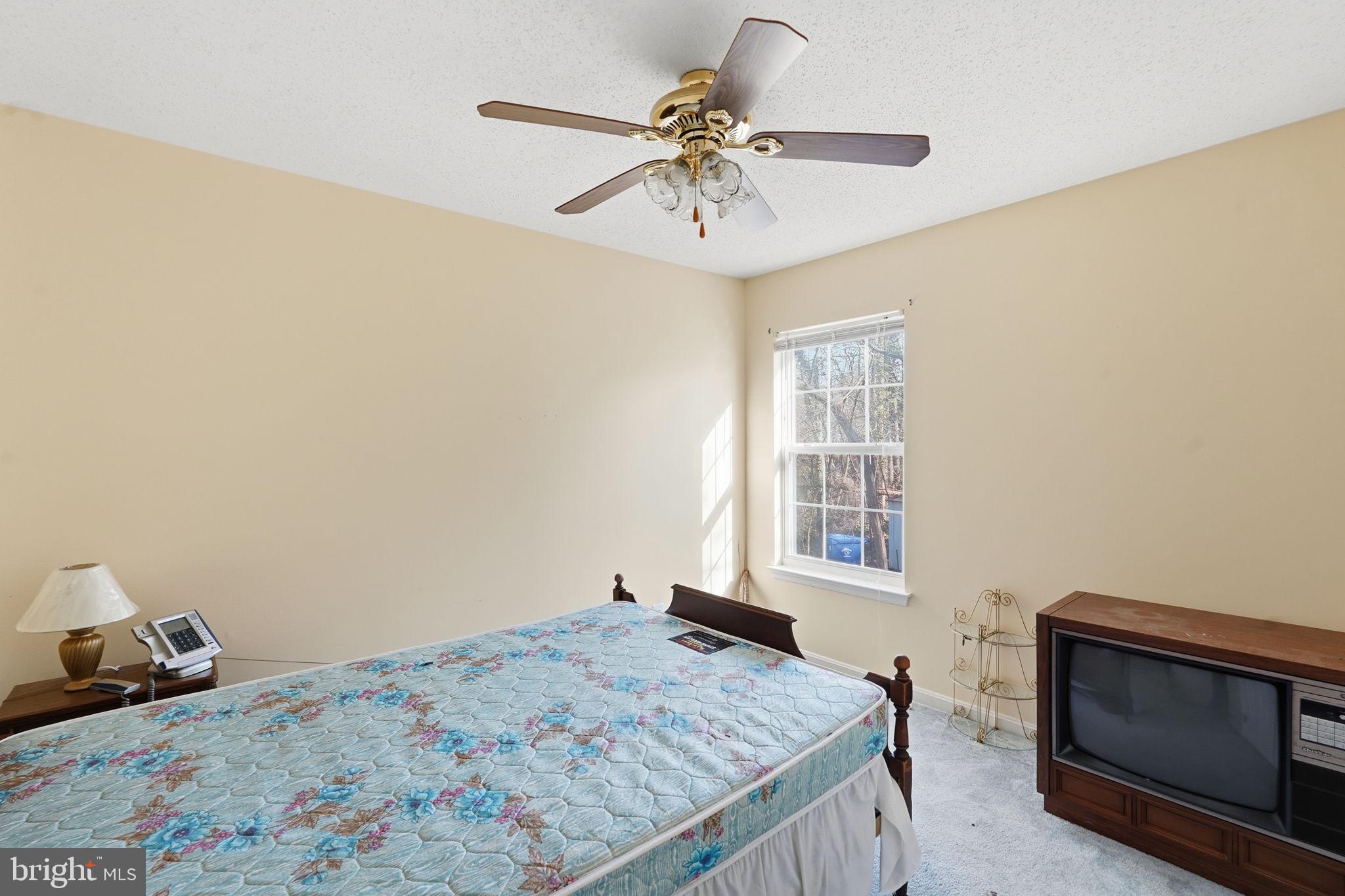 COBB ISLAND - Residential