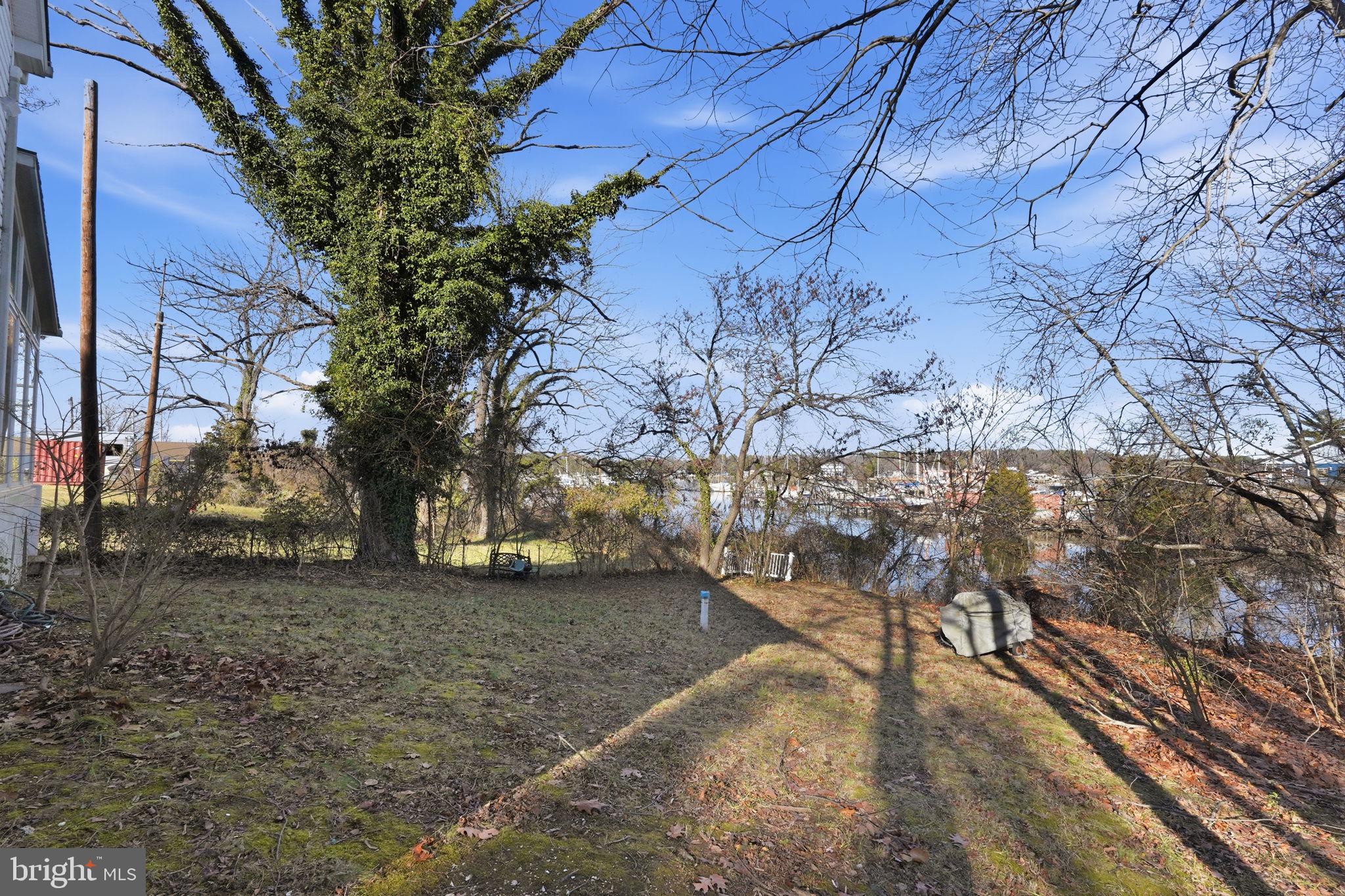 COBB ISLAND - Residential