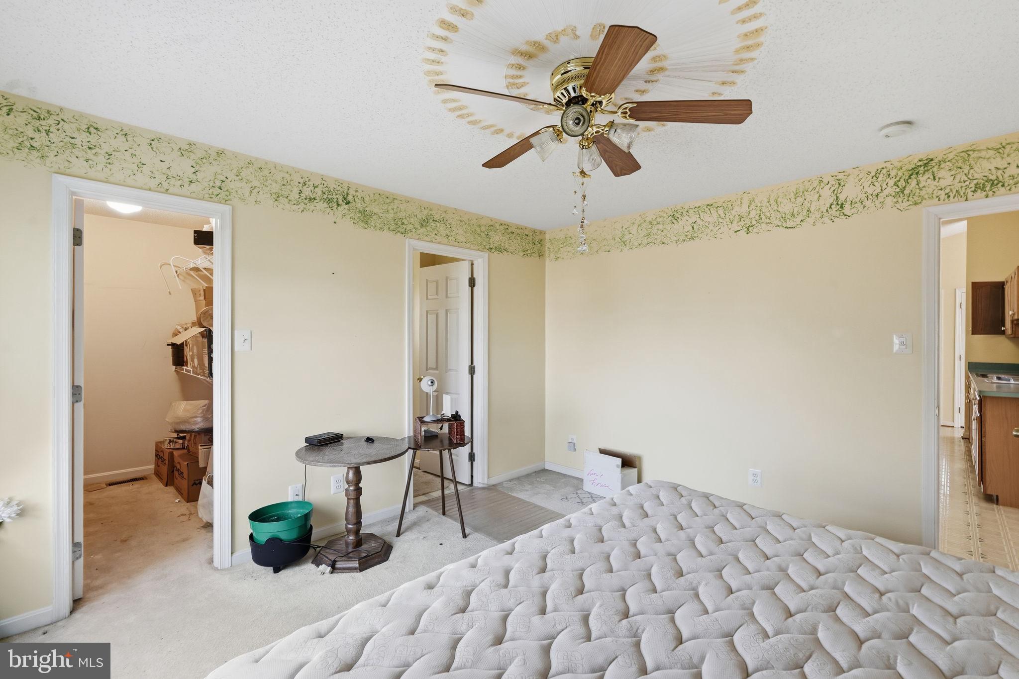 COBB ISLAND - Residential