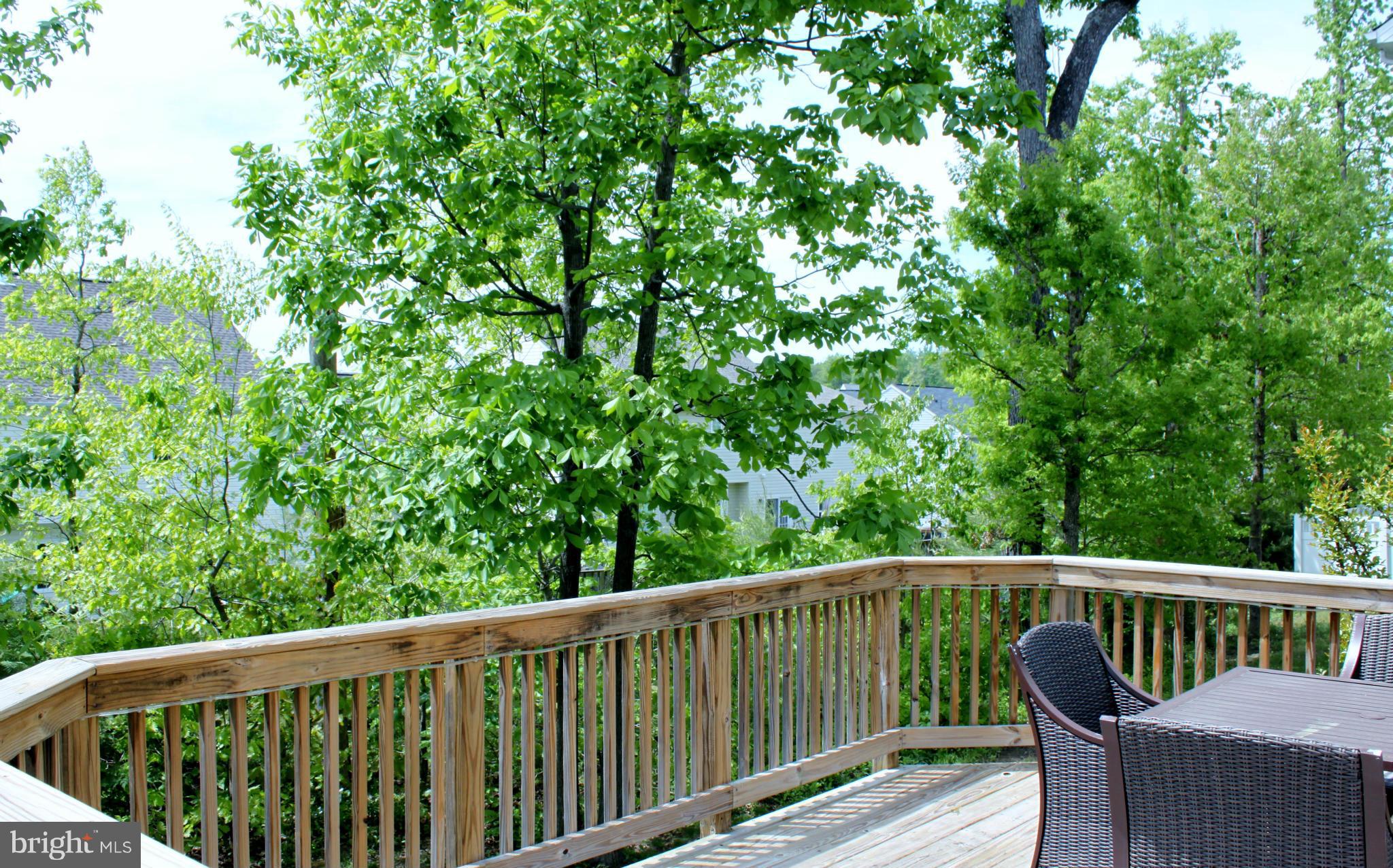 MEADOWS AT MORRIS FARM - Residential