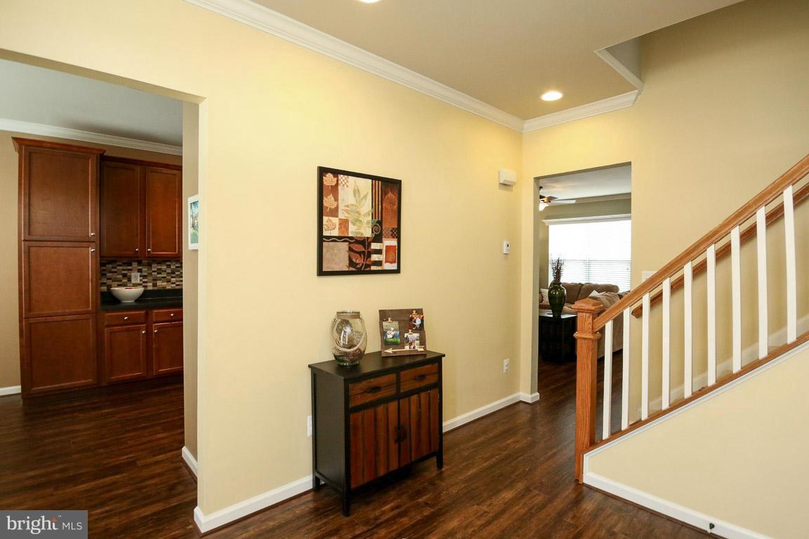 MEADOWS AT MORRIS FARM - Residential