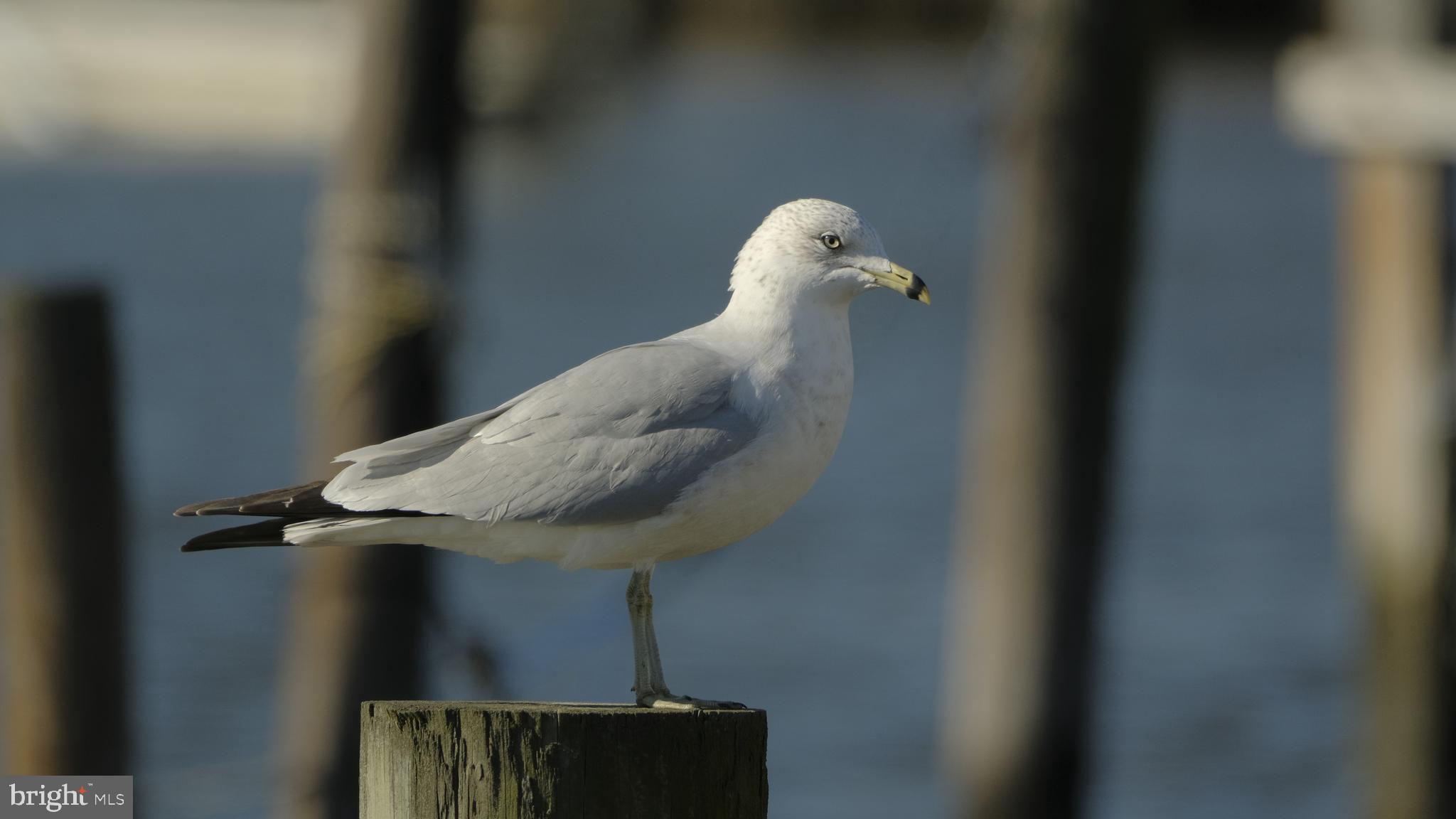 LOVE CREEK PARK - Residential
