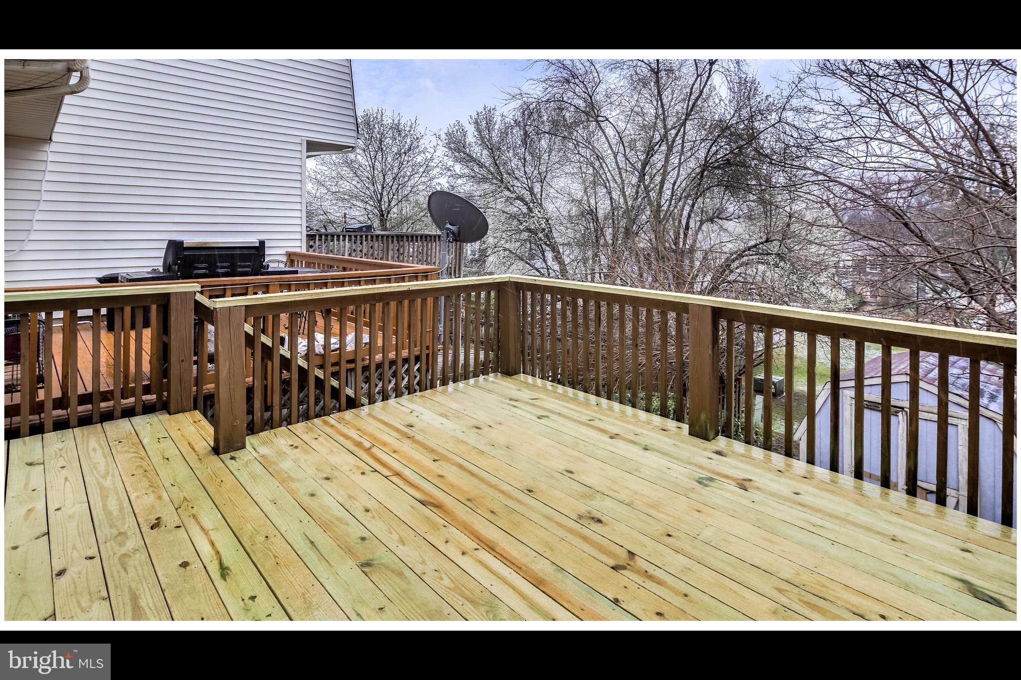 BELMONT - Residential Lease