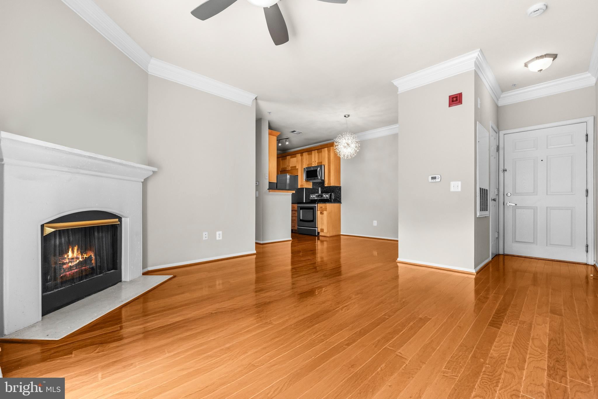 1570 SPRING GATE DRIVE 7203