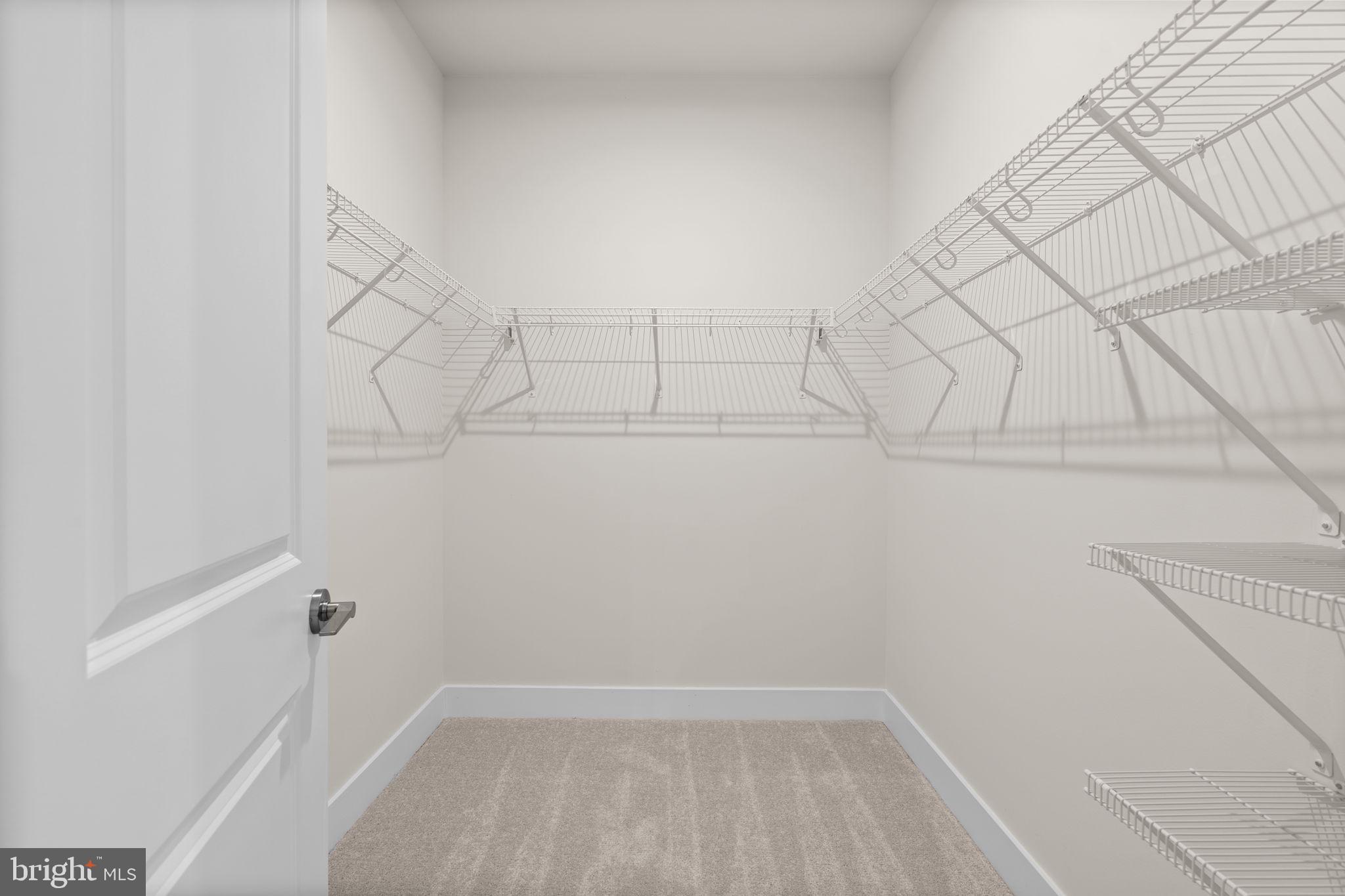 HIATT POINTE AT SNOWDEN BRIDGE - Residential