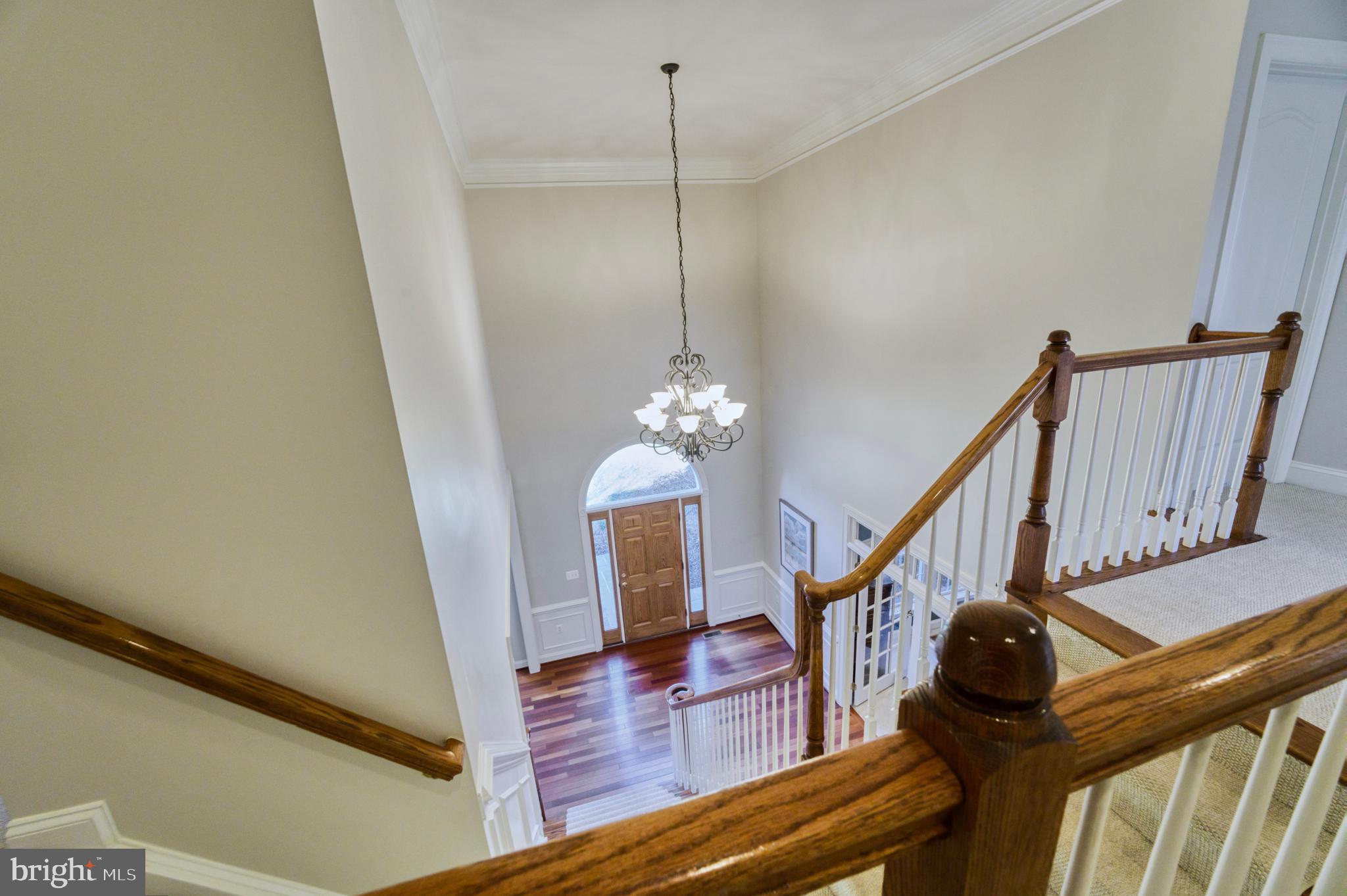 DARTMOOR WOODS - Residential