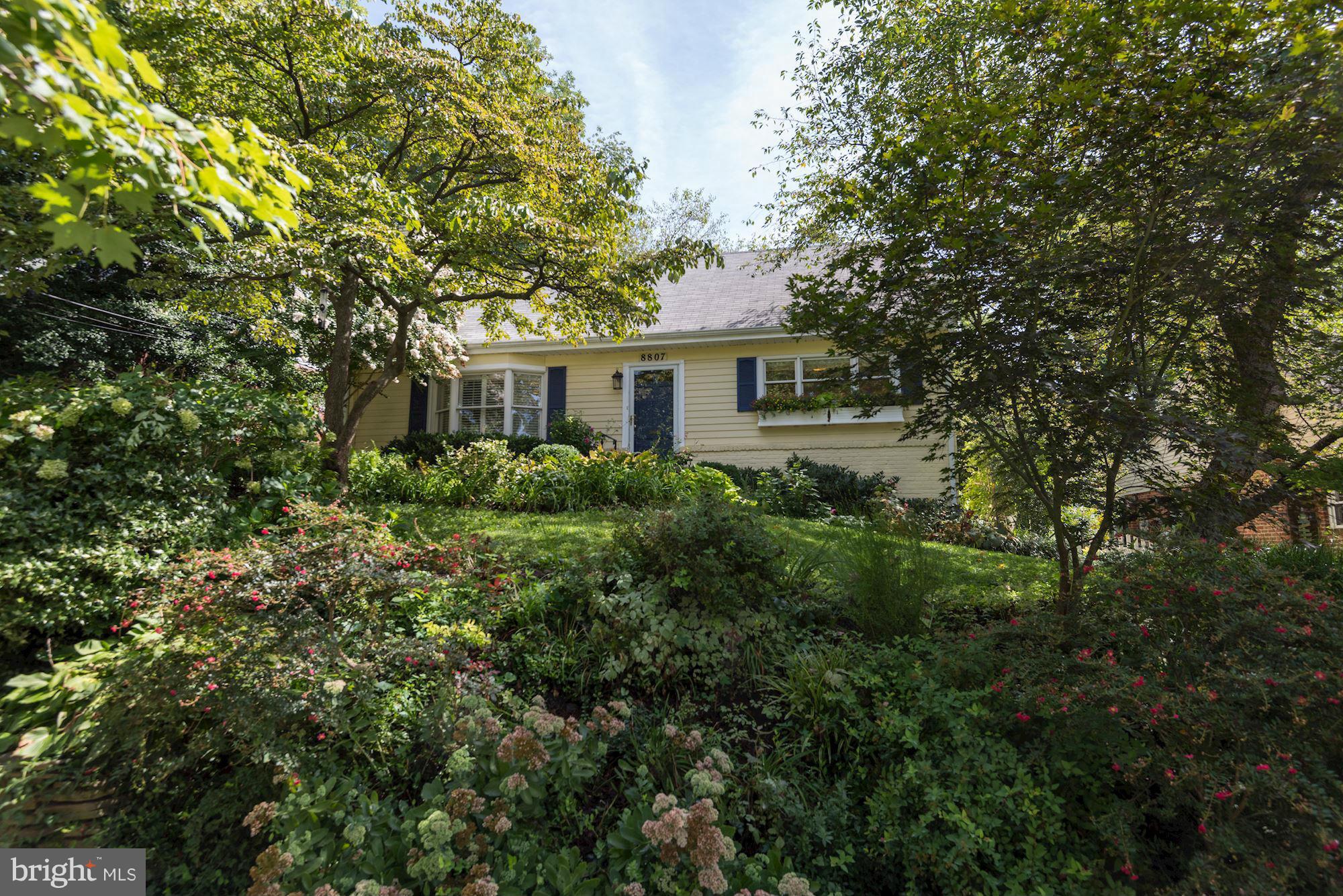 NORTH CHEVY CHASE - Residential