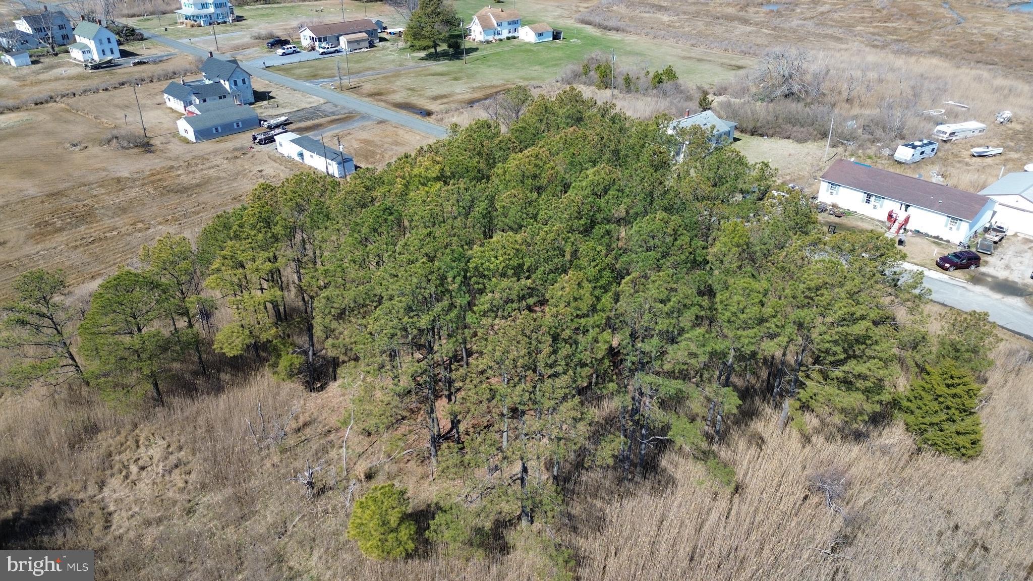 1625 STEAMBOAT WHARF