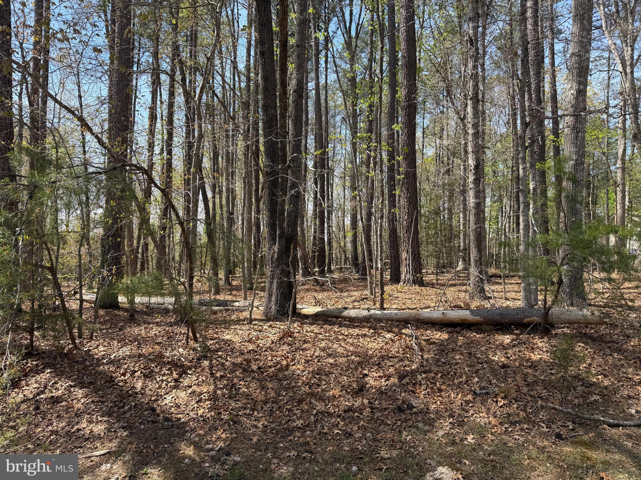 WINDWOOD COVES - Land