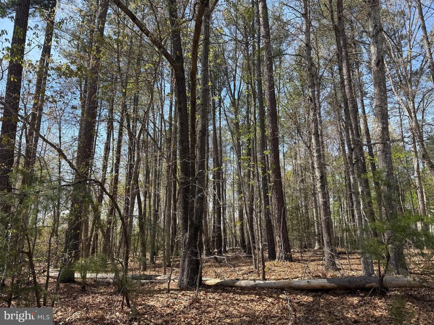 COMING SOON in WINDWOOD COVES  -  Rare opportunity to build on a level, wooded,  .93-acre lot in one of Lake Anna’s most desirable neighborhoods.  The gated community of Windwood Coves offers exclusive amenities like no other; Courts for tennis, pickleball, and basketball, a very large private community beach, volleyball, a playground w/ swing set,  picnic pavilion, ample parking and boat launch. Central location by land AND water allows excellent access to all the lake has to offer. Grocery, vet, local dining, breweries and wineries are just minutes away. With High-Speed Fiber Internet available, the "work-from-the-lake" dream can be reality. Don’t miss your chance to secure one of the few remaining buildable lots in this prime location! Assigned BOAT SLIP in main marina.