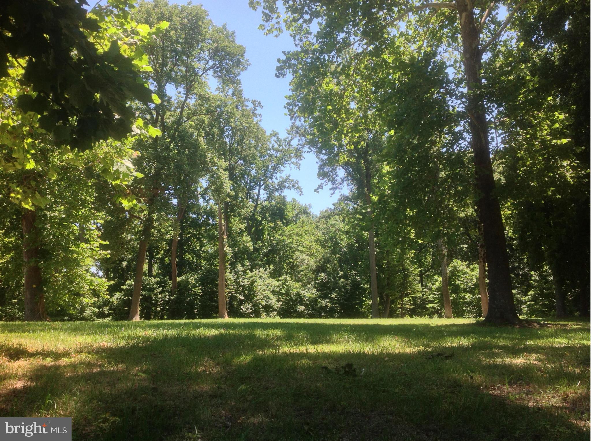 NONE AVAILABLE - Land