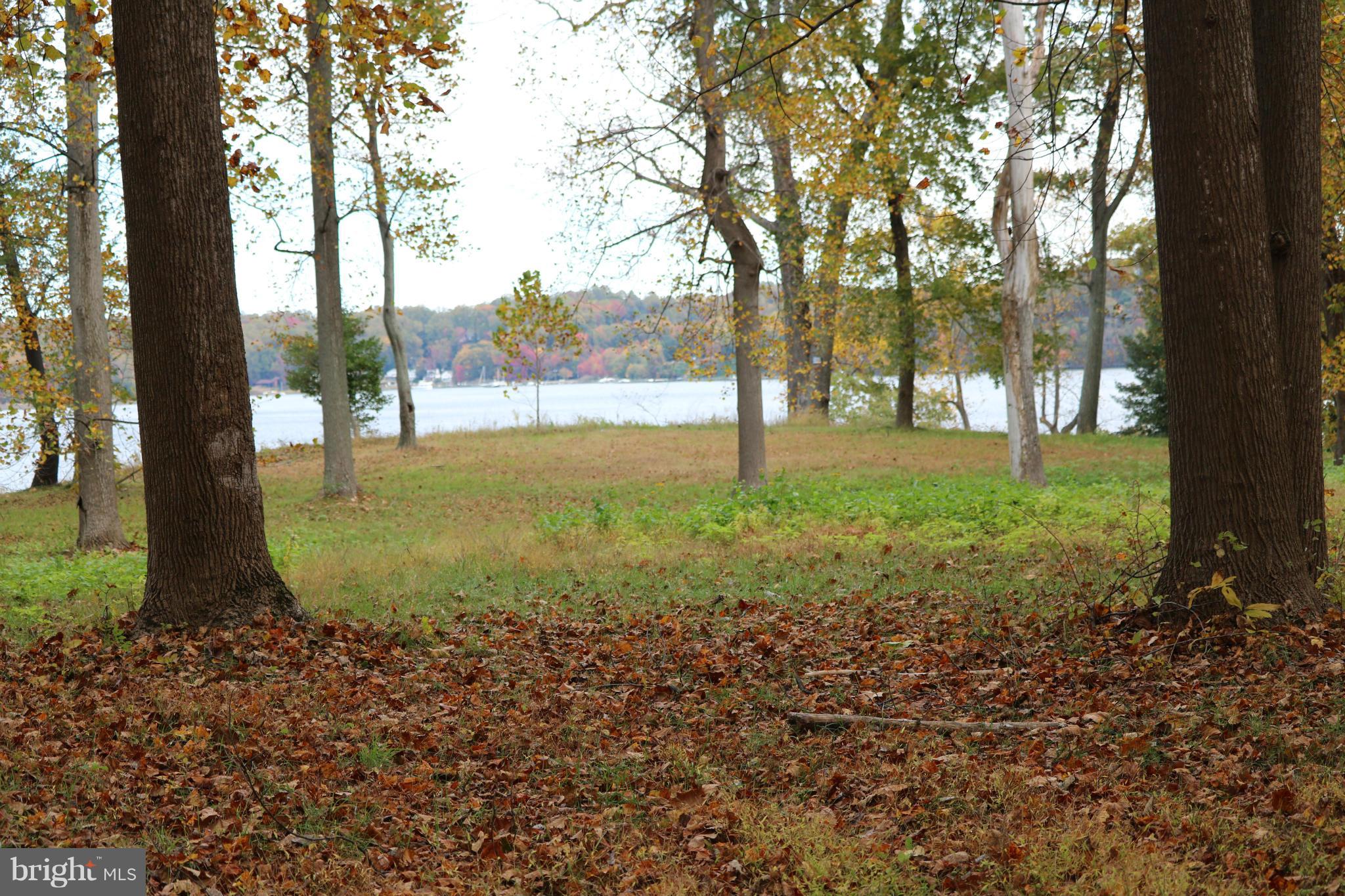 NONE AVAILABLE - Land