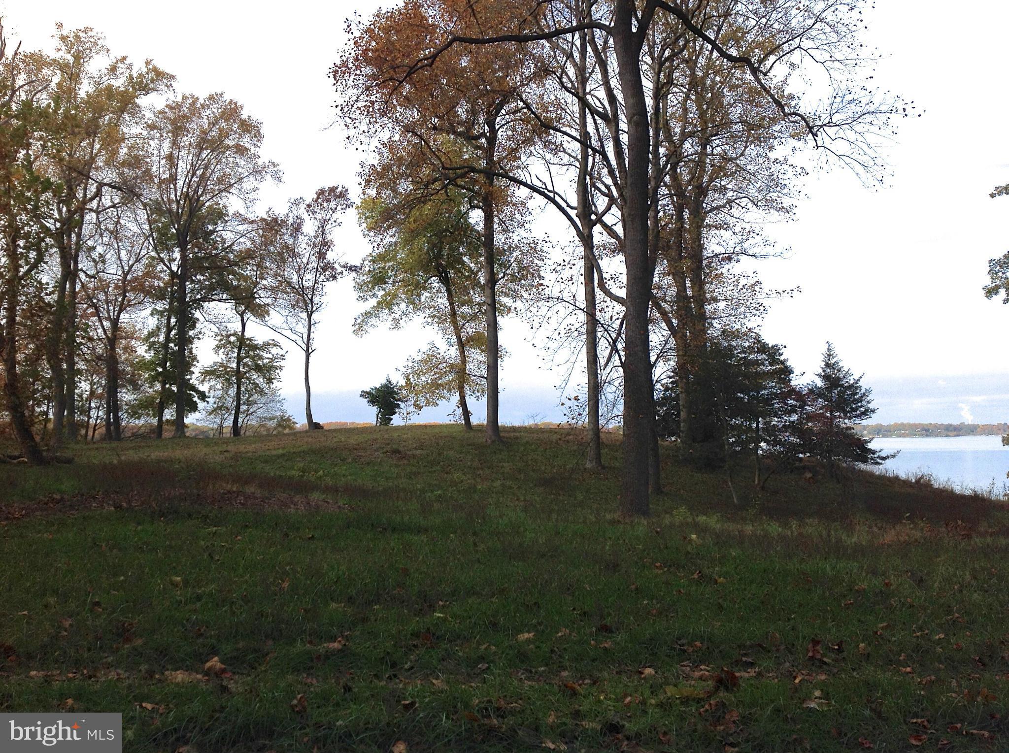 NONE AVAILABLE - Land