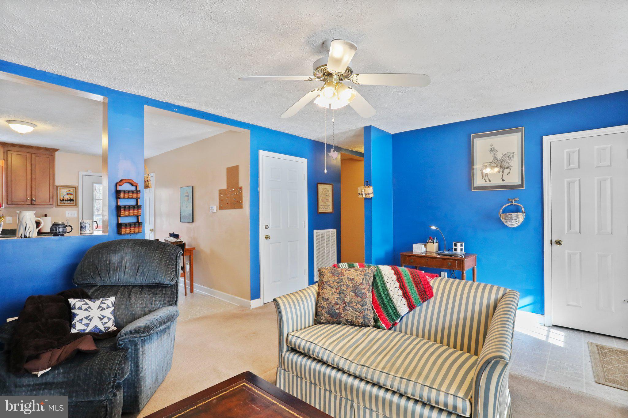 BLUE RIDGE ACRES - Residential