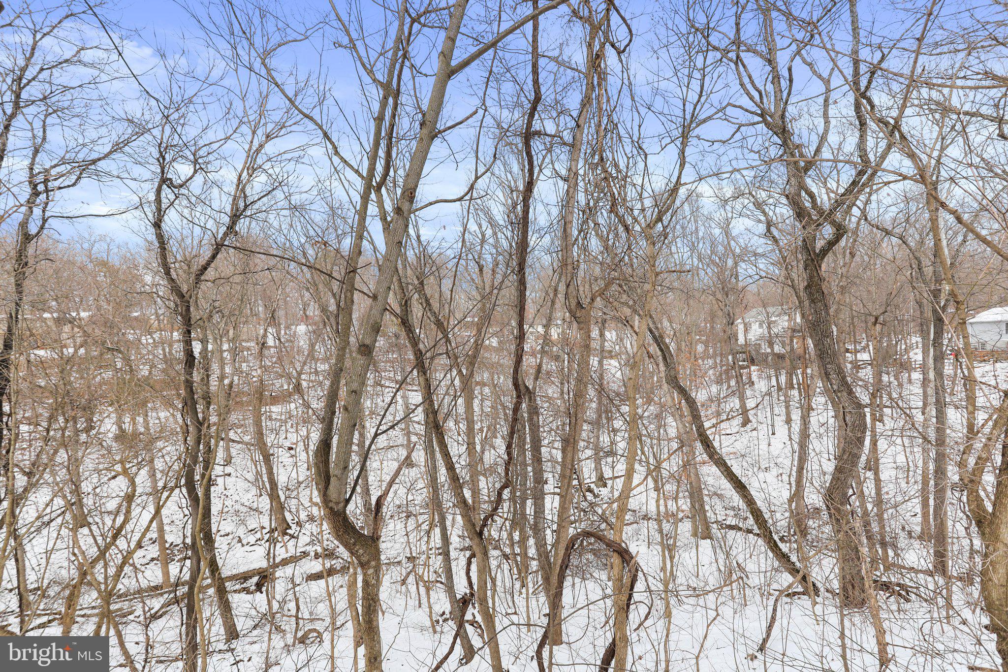 BLUE RIDGE ACRES - Residential