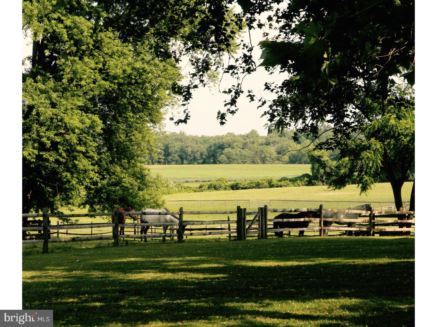 CHESHIRE HUNT - Residential