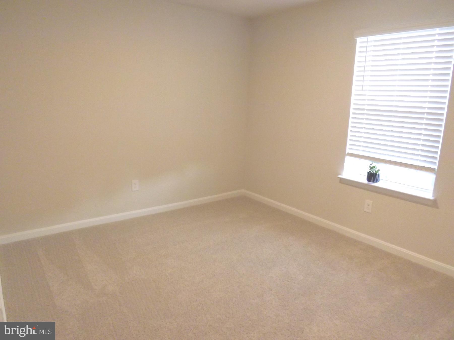 MAGNOLIA SPRINGS - Residential Lease