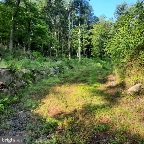 Vacant Land For Sale - 5968 State Park Road<br/> PIPERSVILLE, PA 18947