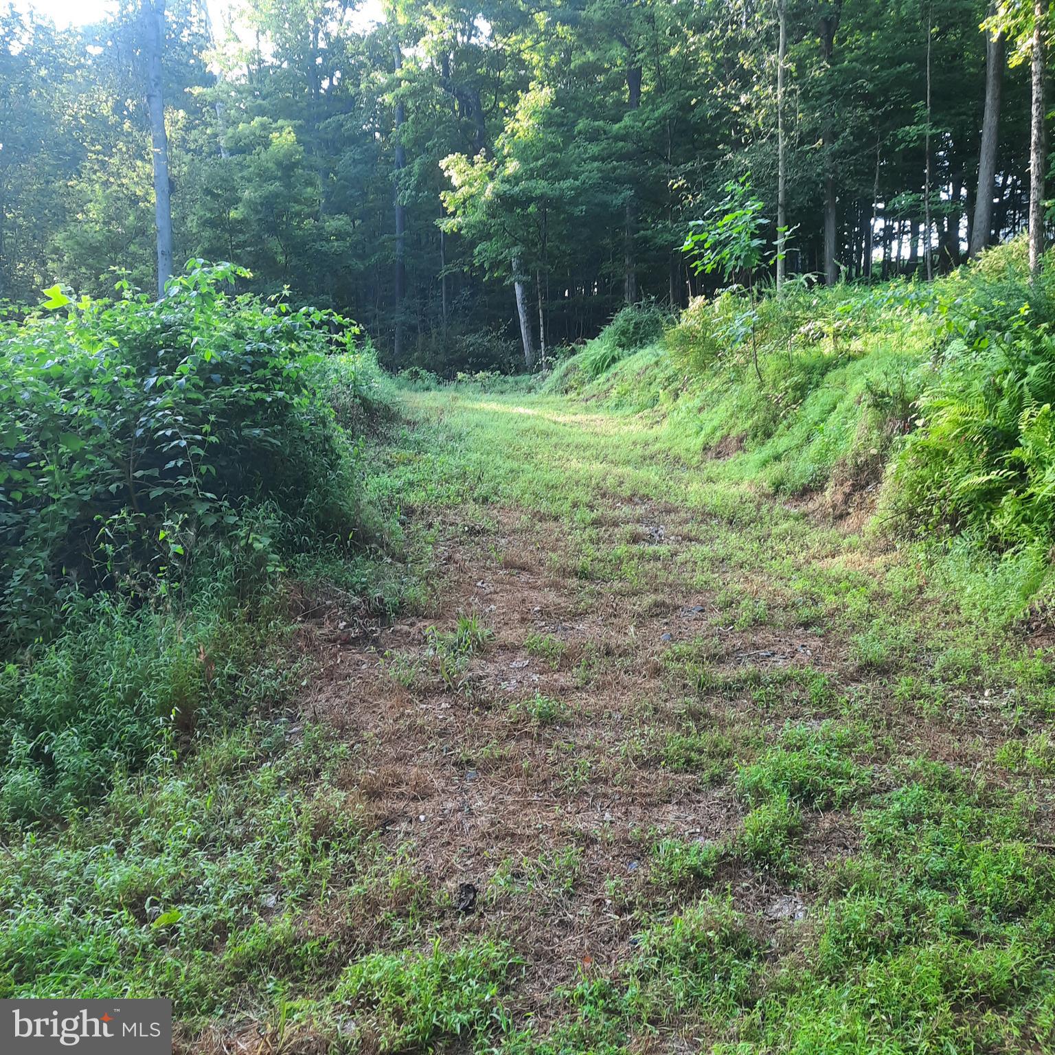 5968 STATE PARK ROAD