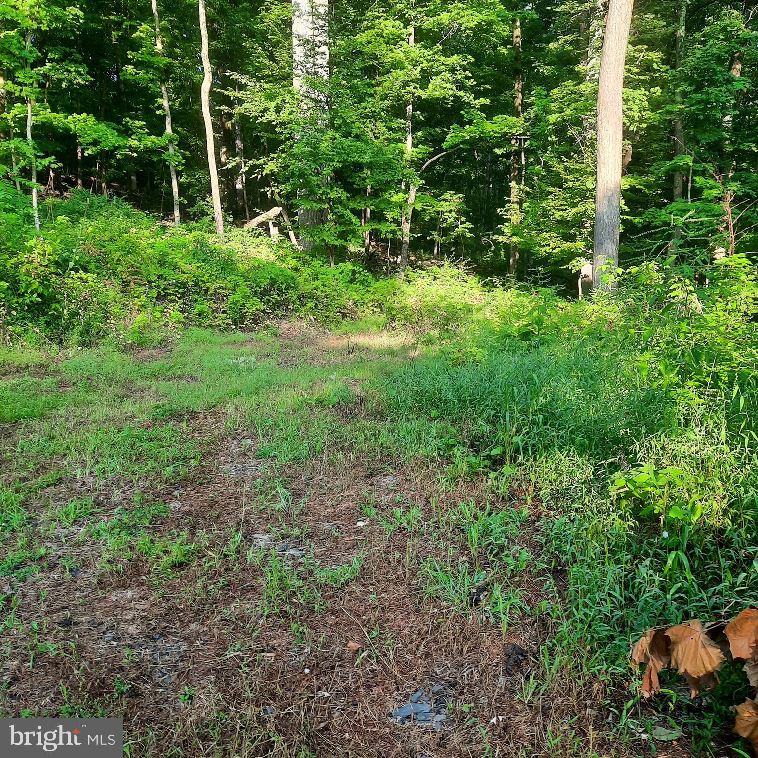 5968 STATE PARK ROAD
