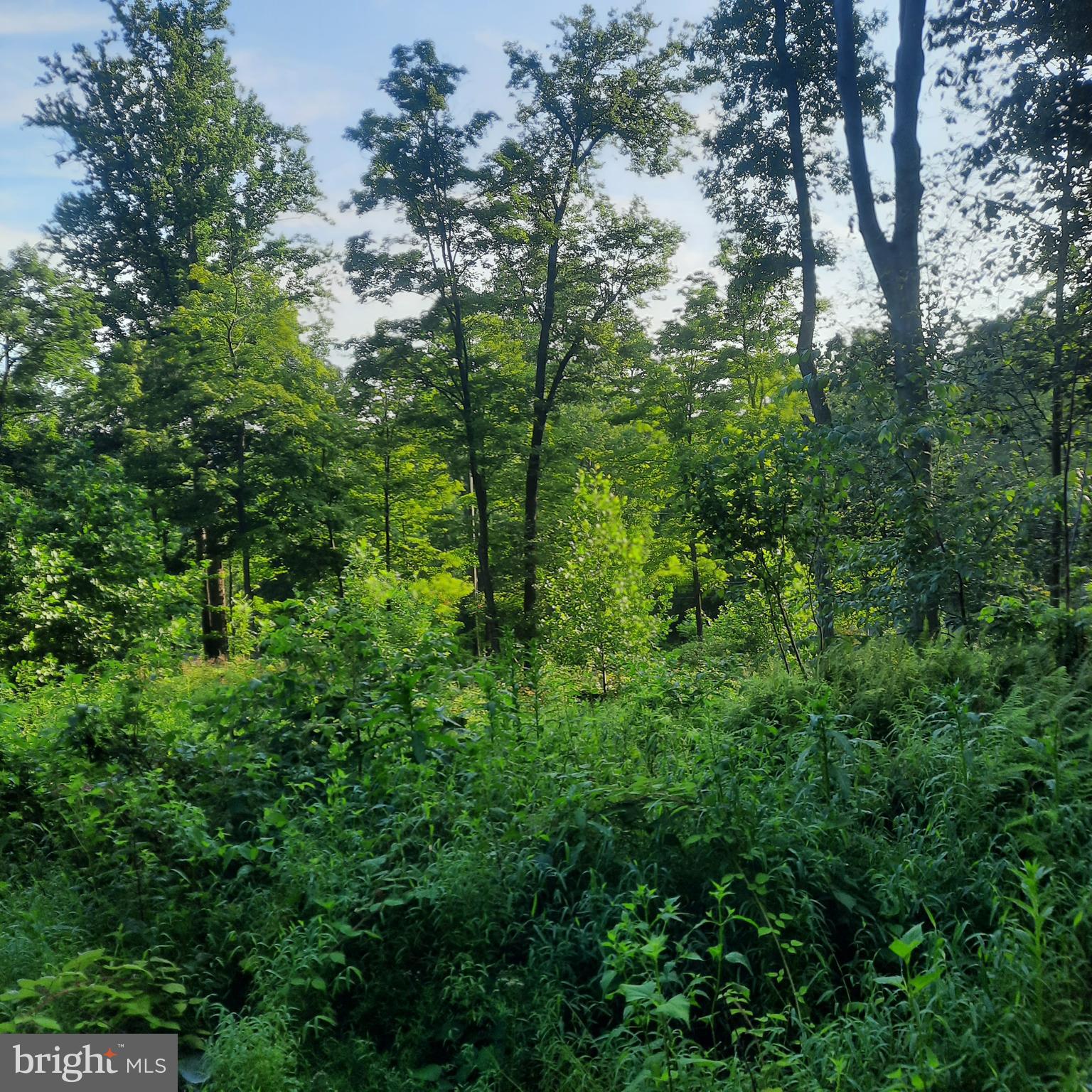 5968 STATE PARK ROAD