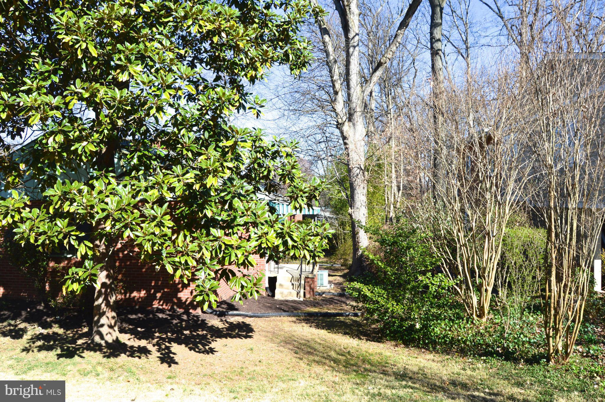BROADMONT - Residential