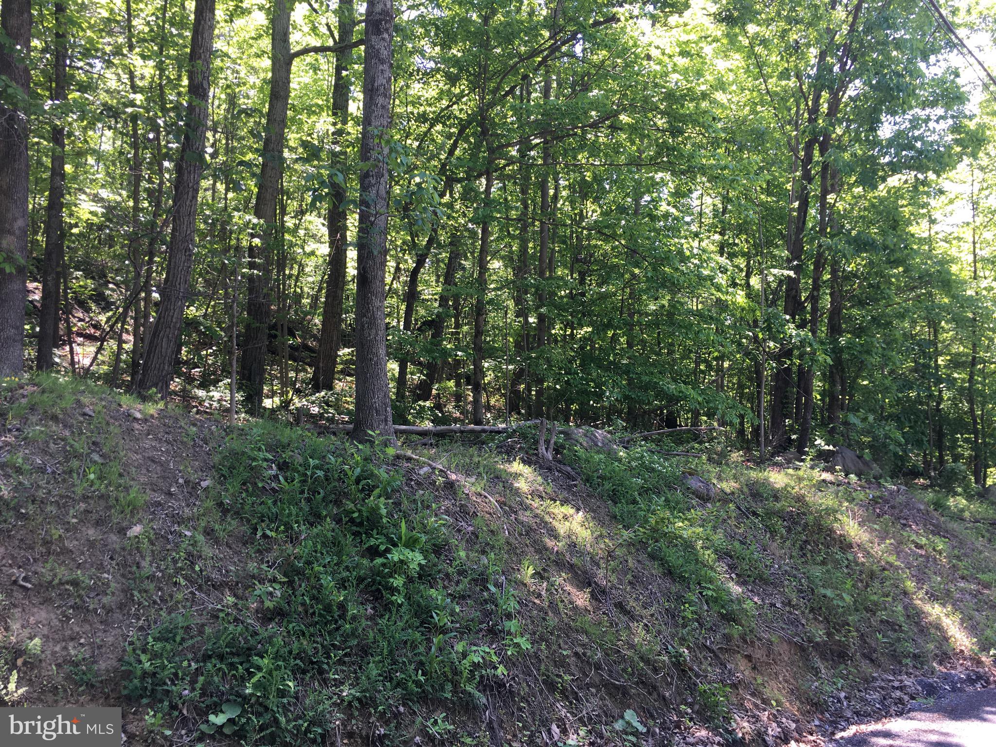 SHEN FARMS MT LAKE - Land