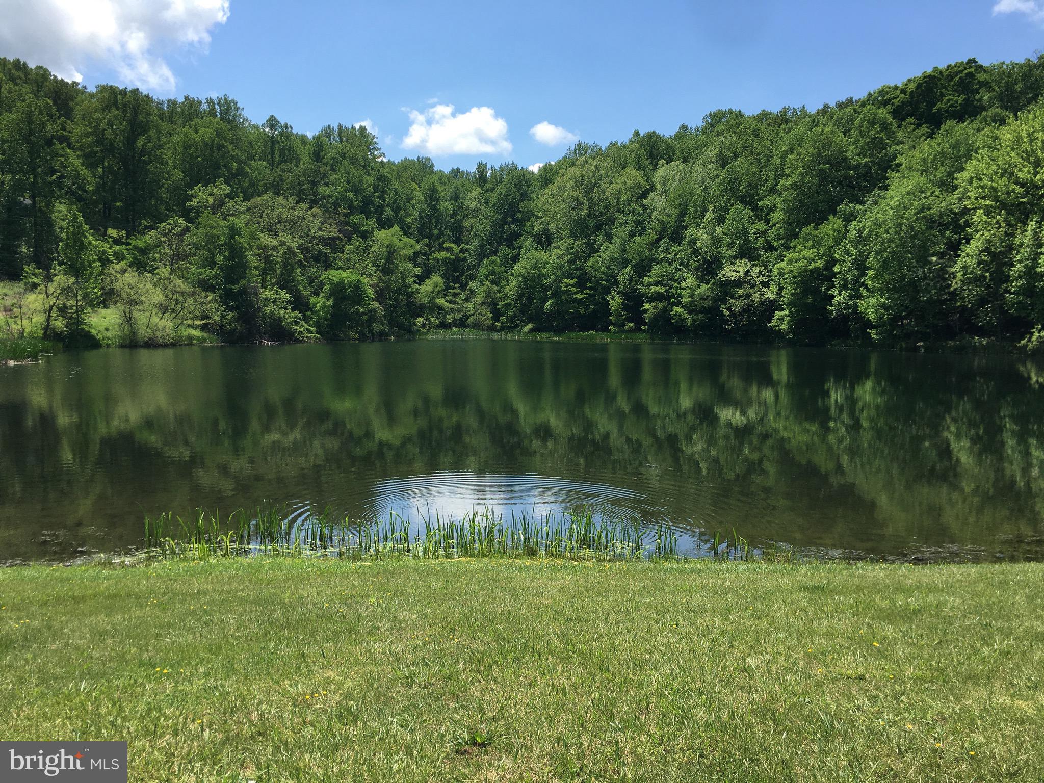 SHEN FARMS MT LAKE - Land