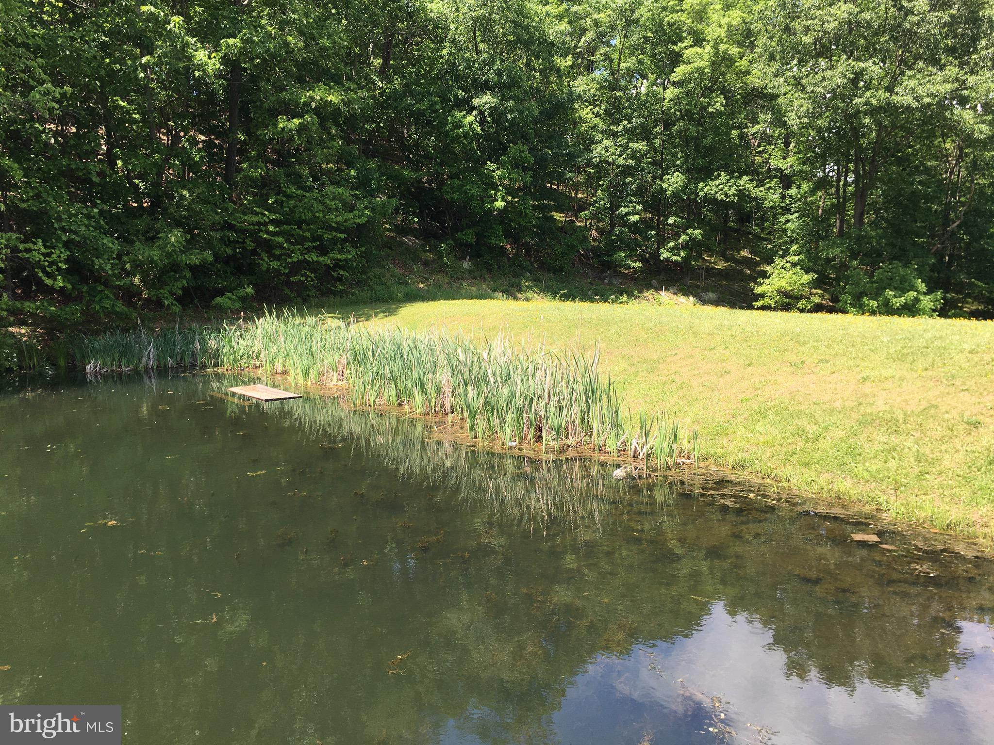 SHEN FARMS MT LAKE - Land