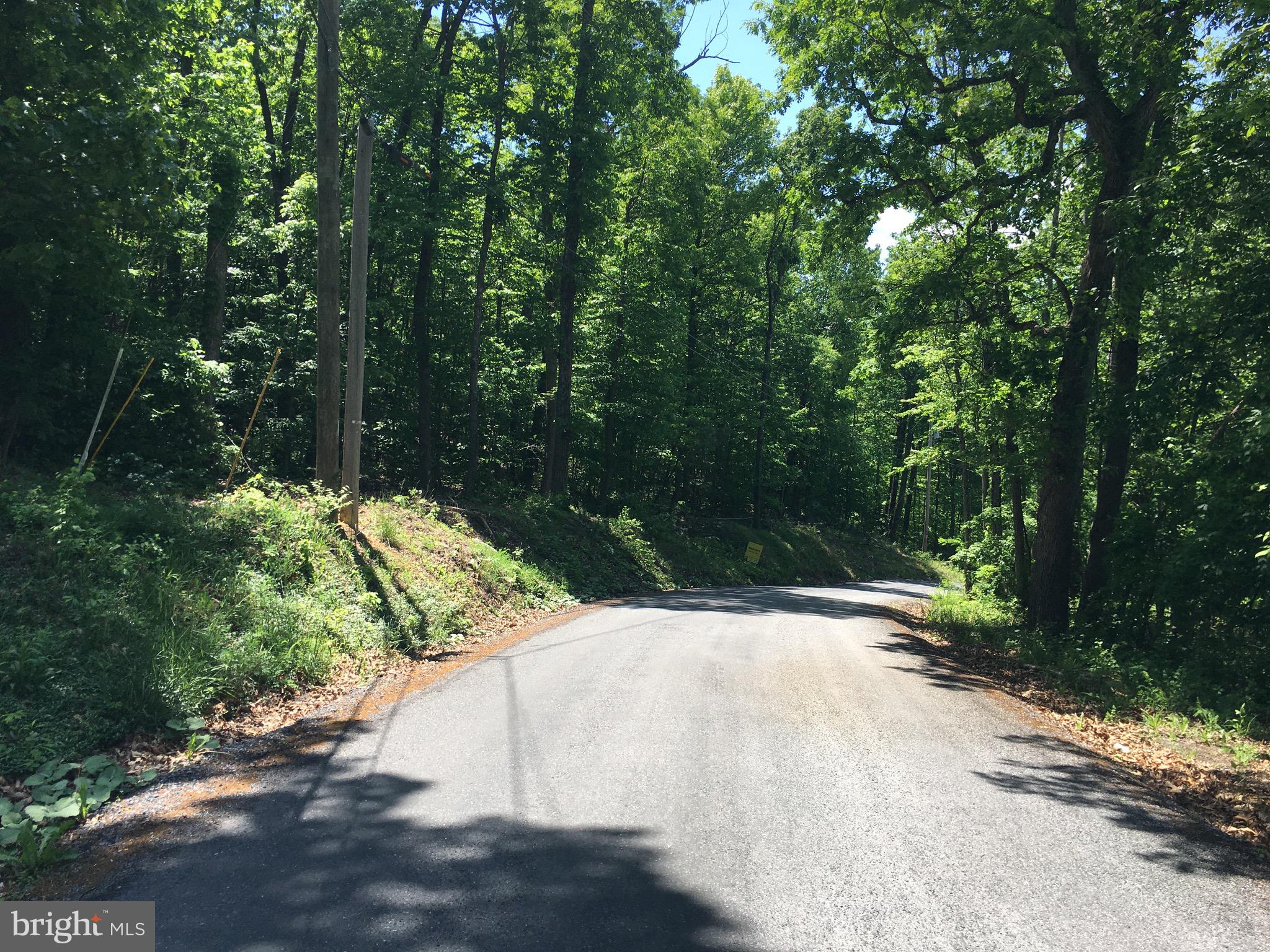 SHEN FARMS MT LAKE - Land