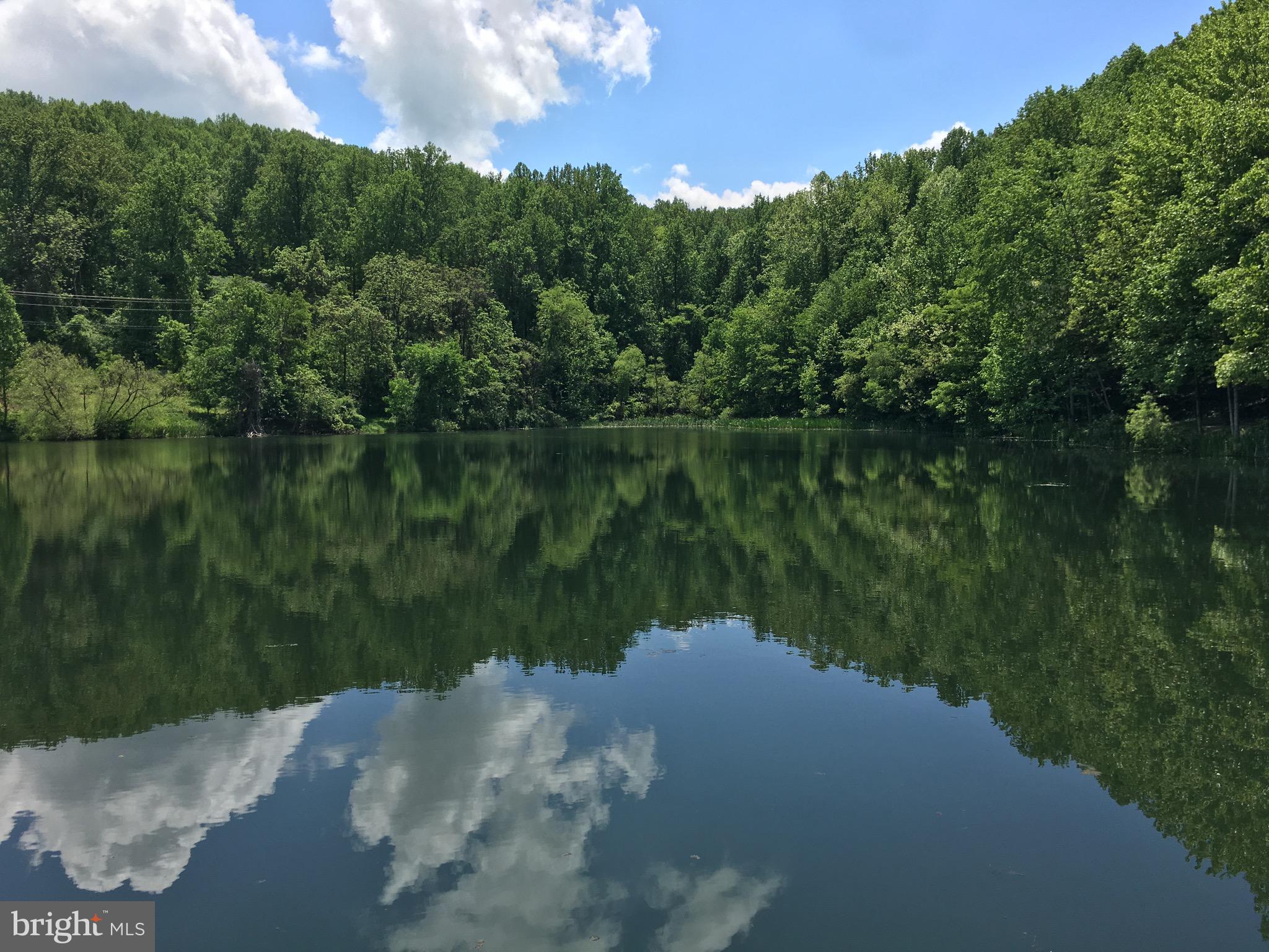 SHEN FARMS MT LAKE - Land
