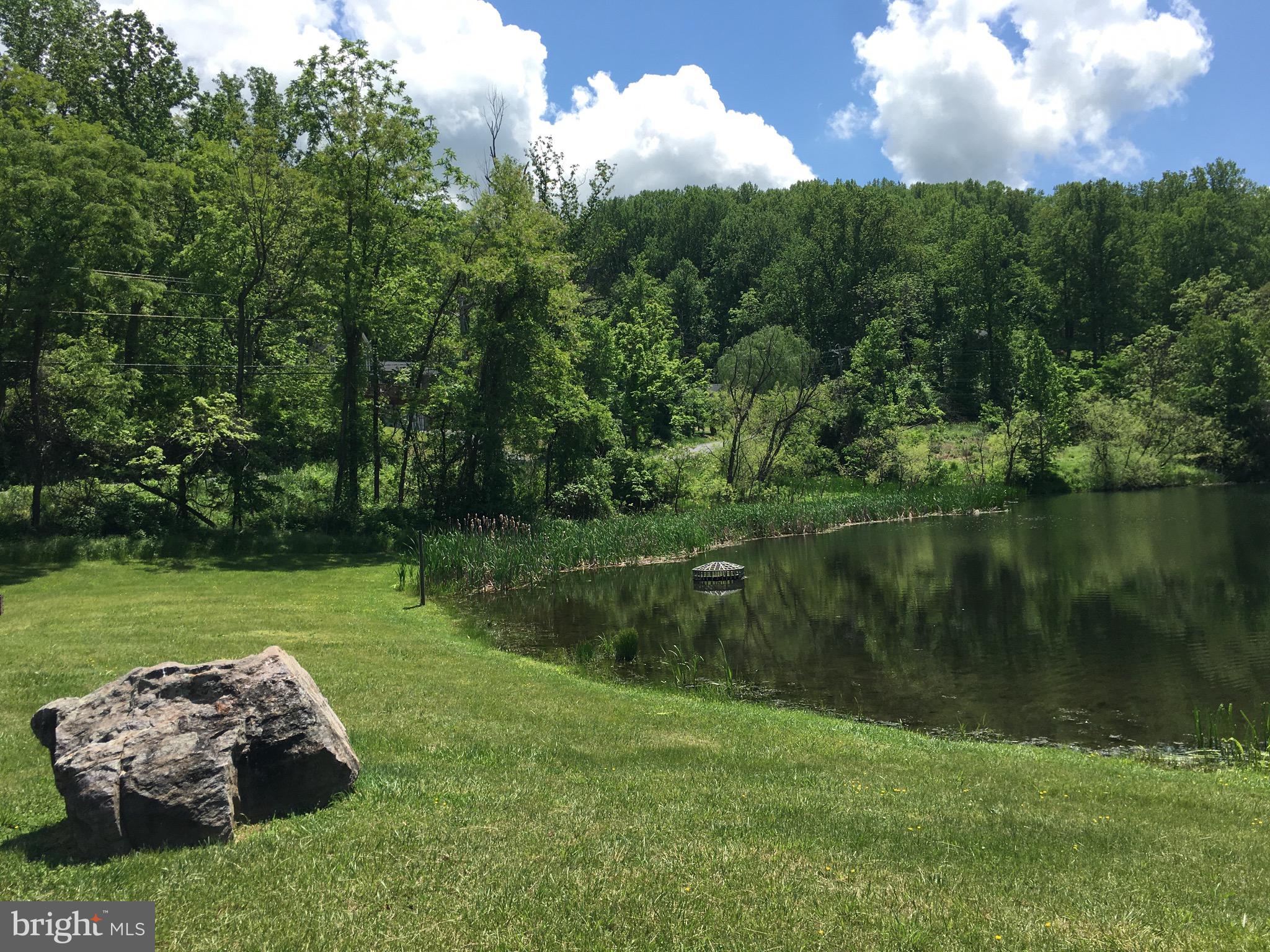 SHEN FARMS MT LAKE - Land