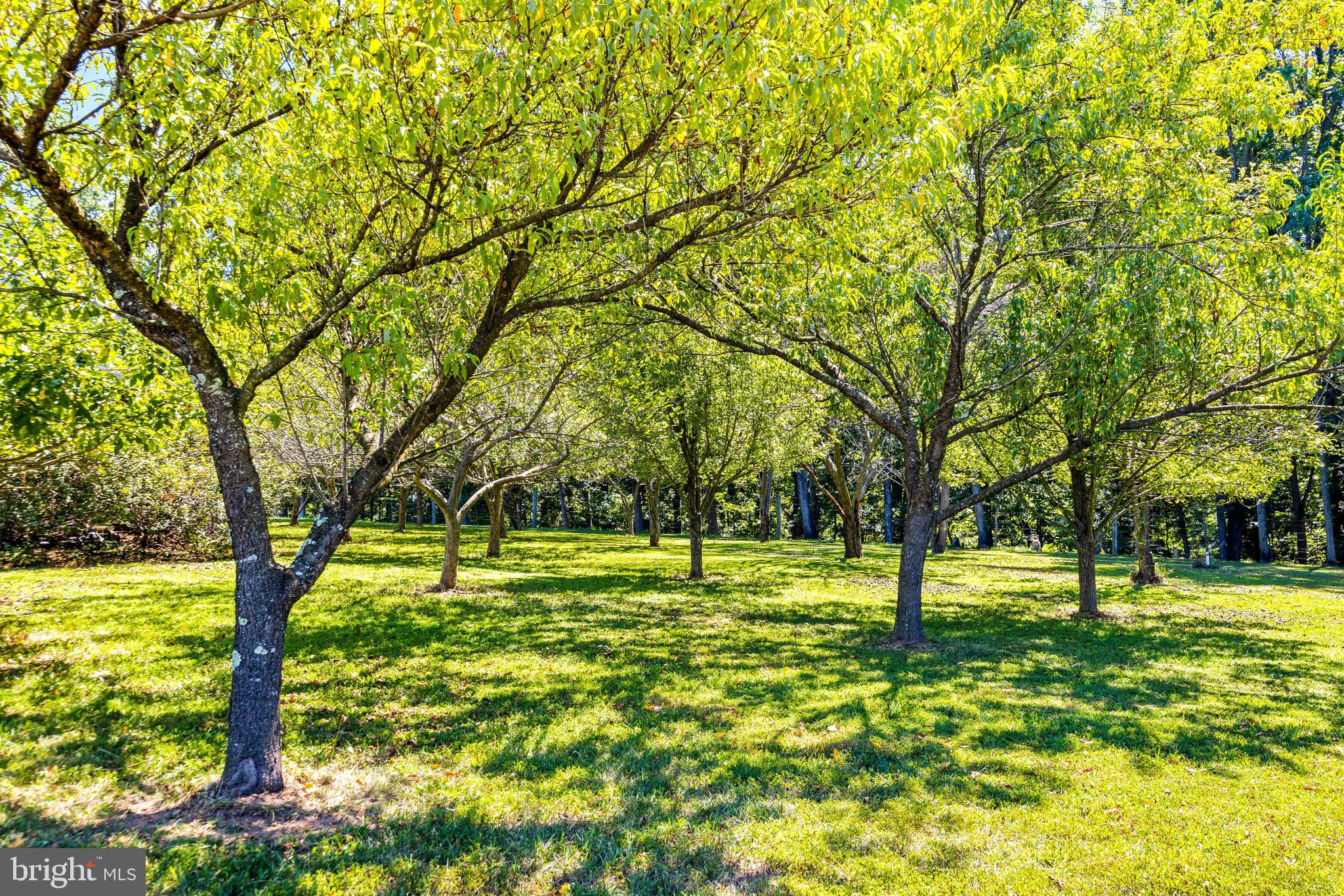CARROLL COUNTY FARMETTES - Residential