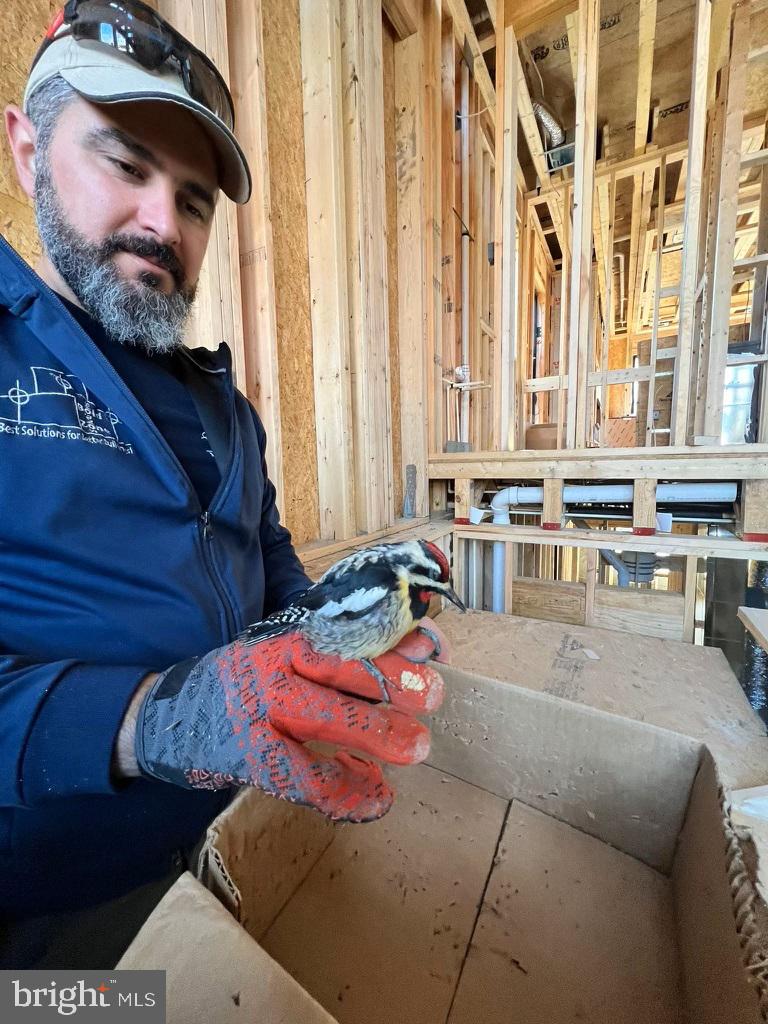 BEVERLY HILLS - Residential