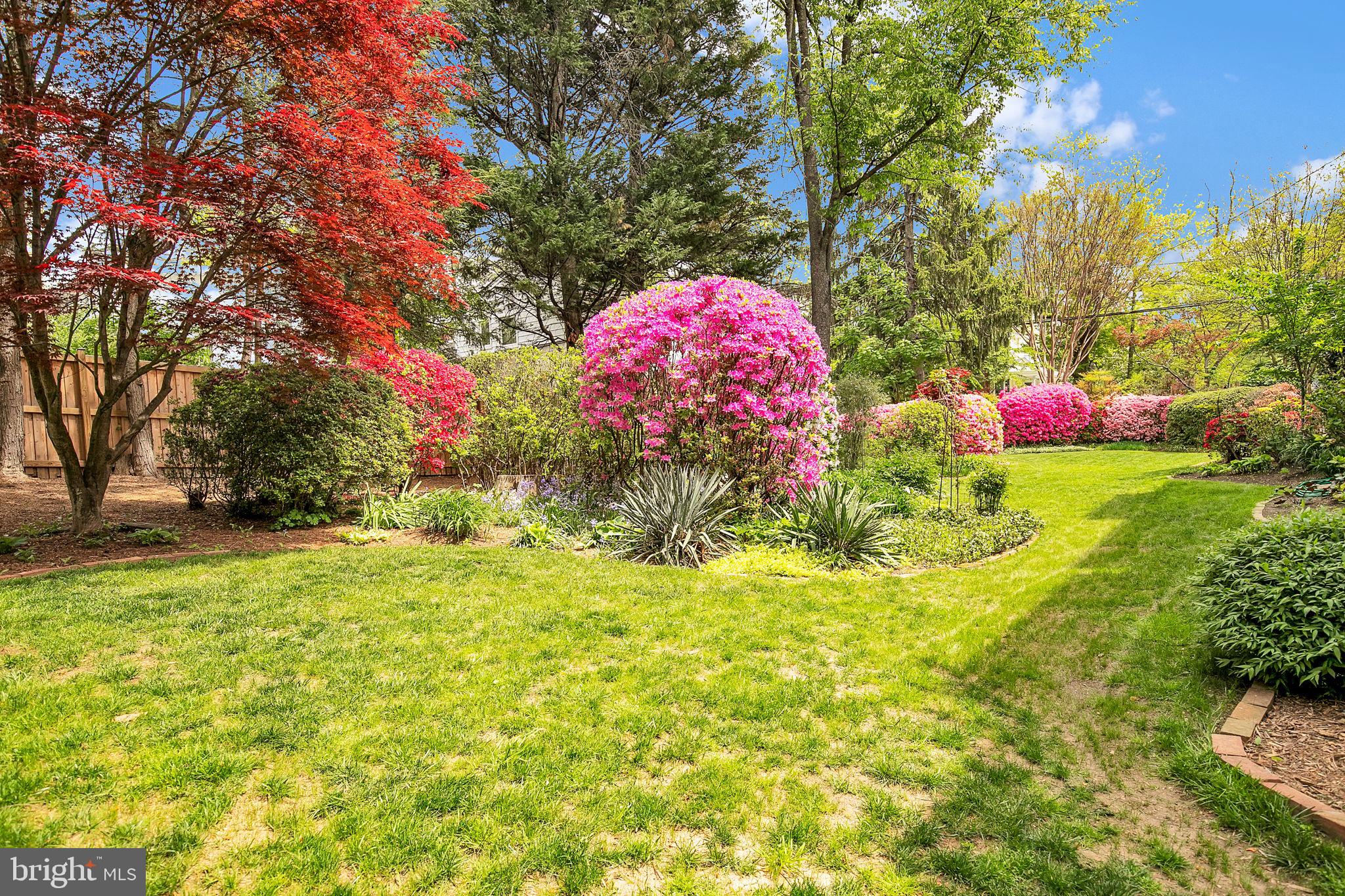 KENSINGTON - Residential