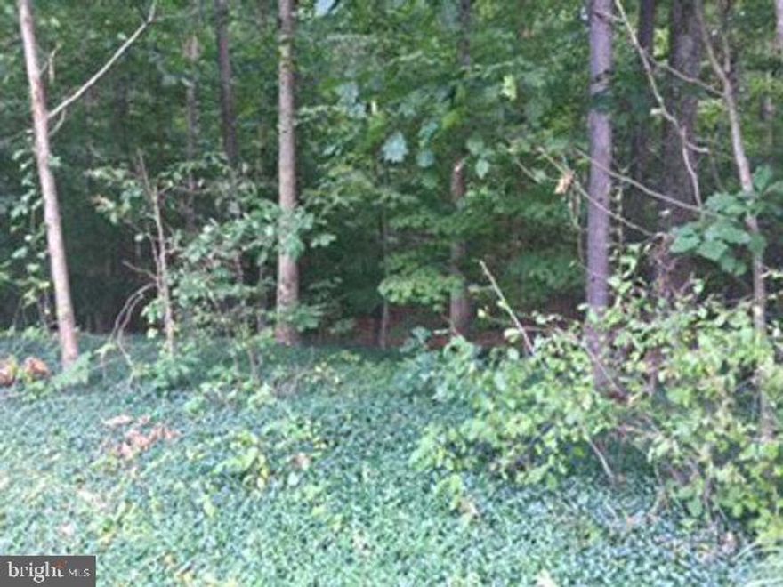36.8 acre wooded lot. Additional 1.25 acre lot available.