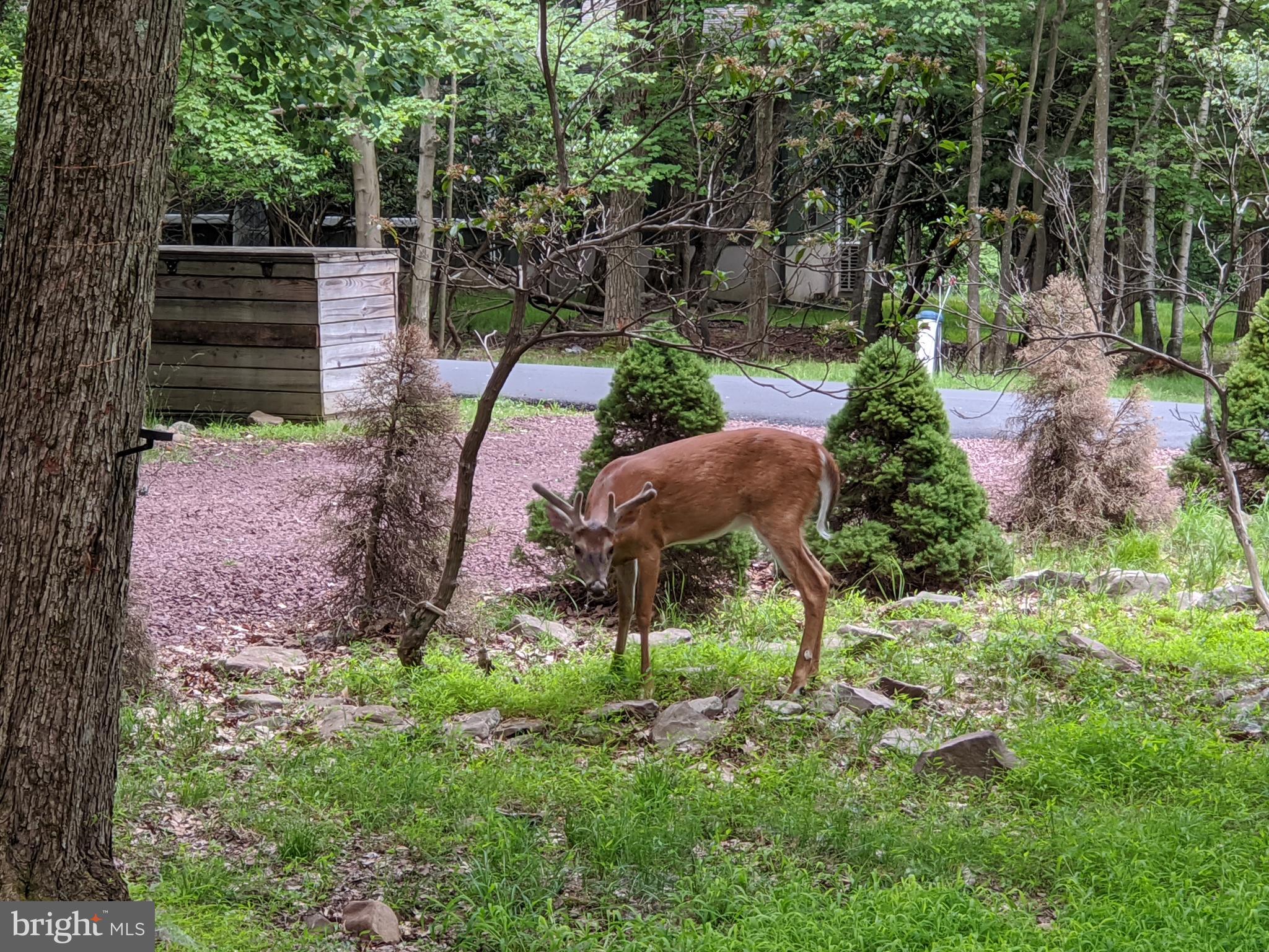 LAKE HARMONY ESTATES - Residential