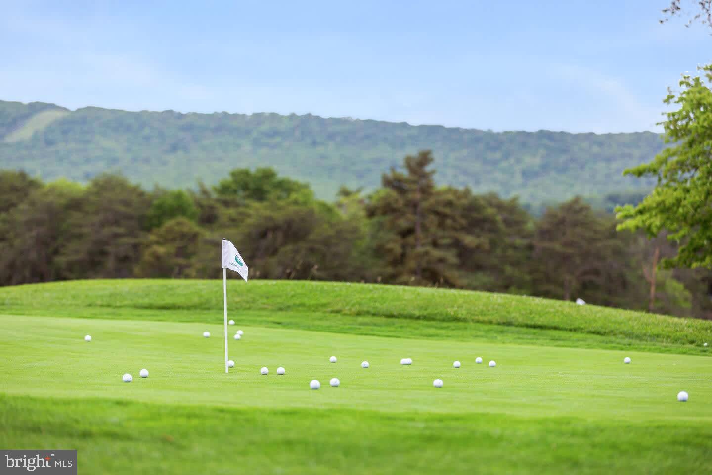 THE WOODS RESORT - Residential