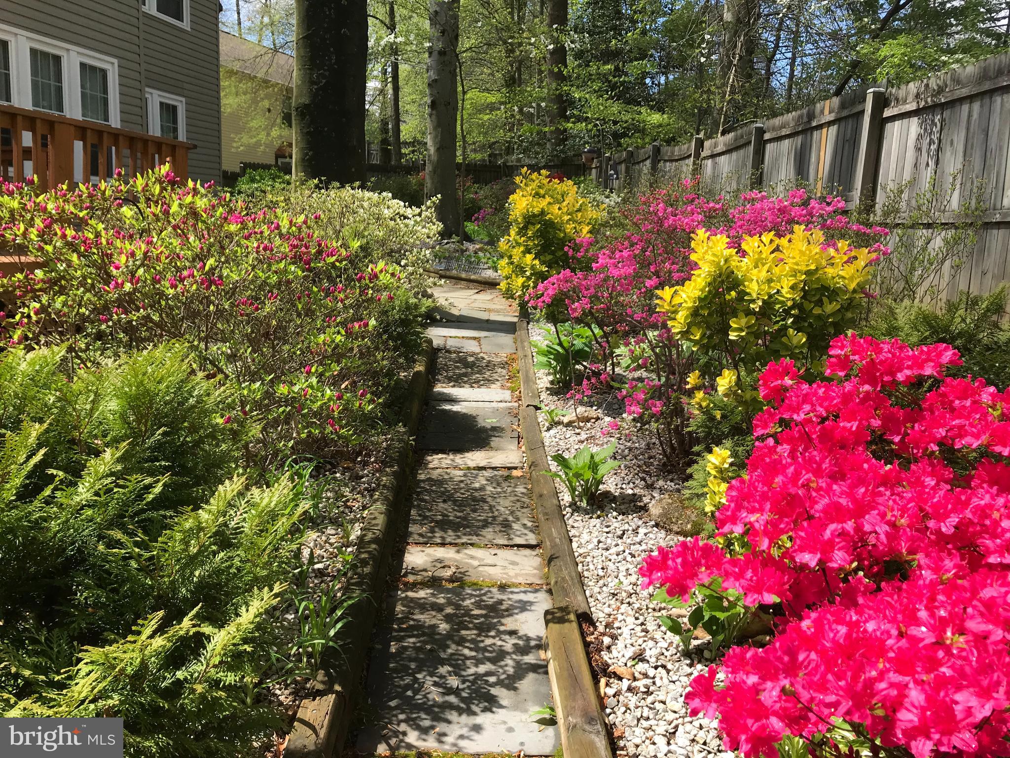 LONGWOOD KNOLLS - Residential