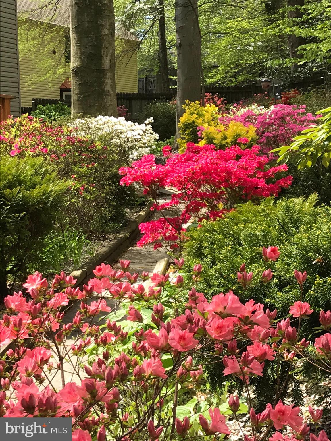 LONGWOOD KNOLLS - Residential